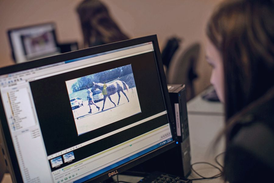 A student looks at an image of a horse walking on a computer.