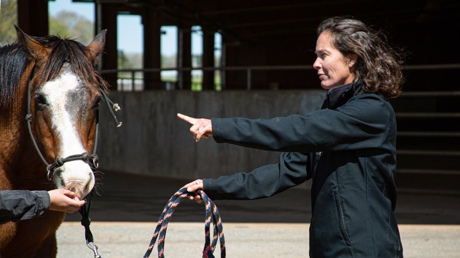 Duberstein points at a horse while holding its reins