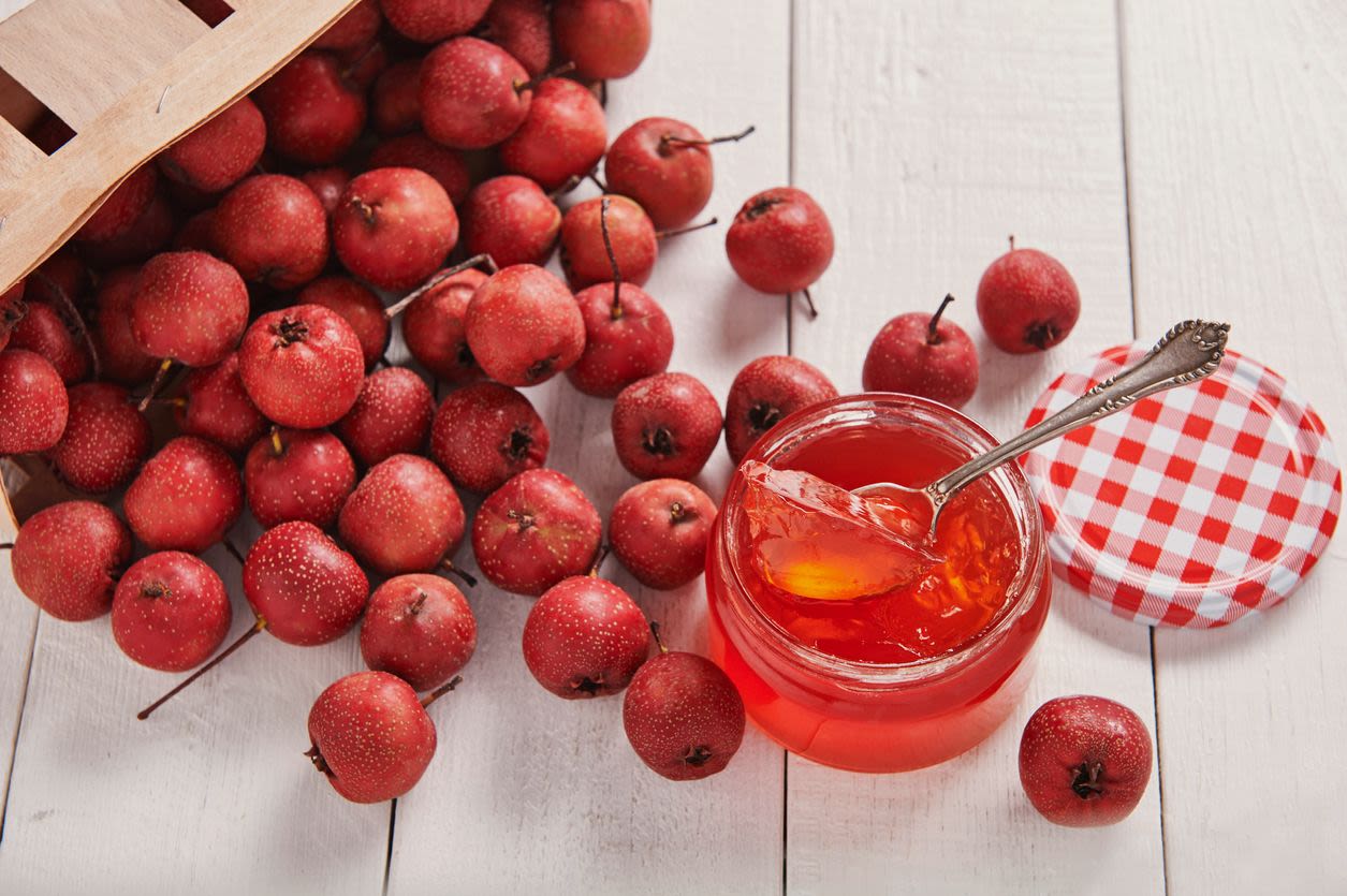 a basket of mayhaws spills out onto a white picnic table around an open jar of red mayhaw jelly with a checkered lid