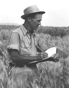Black-and-white photo of Norman Borlaug taking notes in a field