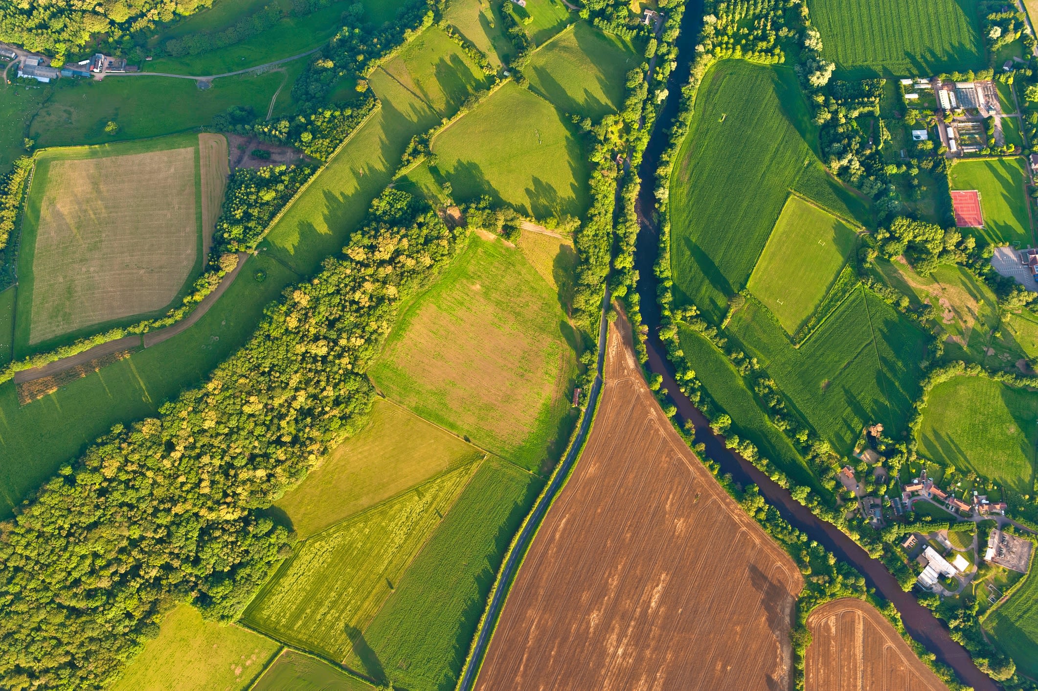 Aerial view of a patchwork of agricultural fields lined with trees