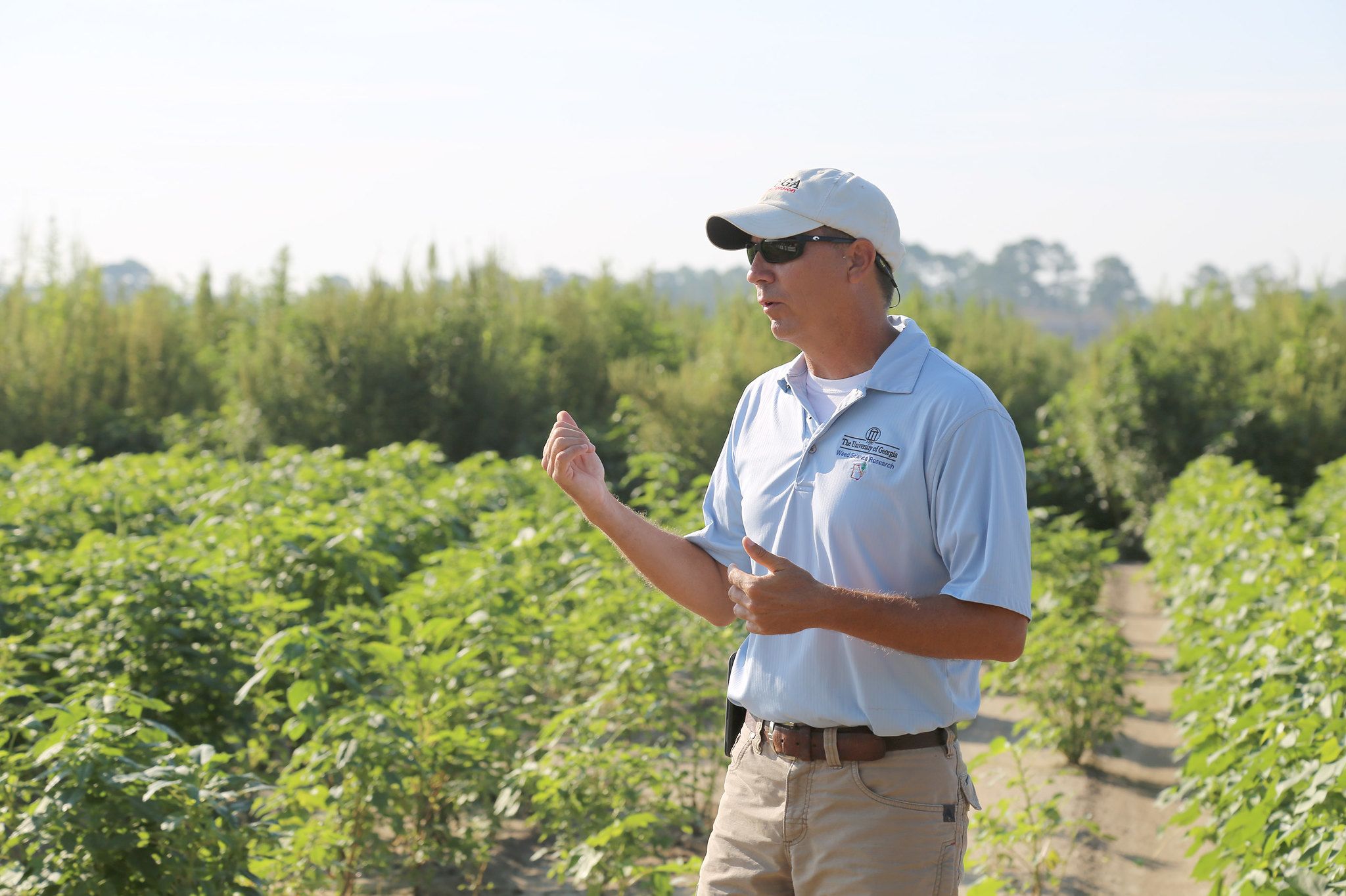 Culpepper stands in a field of cotton during a training event. He wears a hat and sunglasses. 