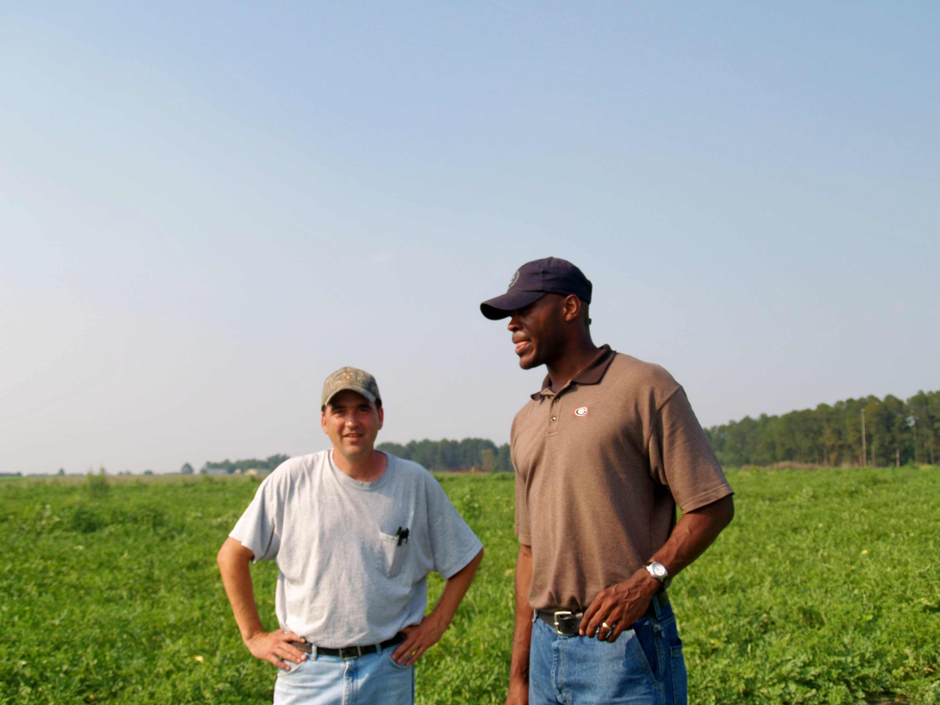 Walcott stands in a field of green row crops with a colleague. They both wear baseball hats and short-sleeve shirts. 