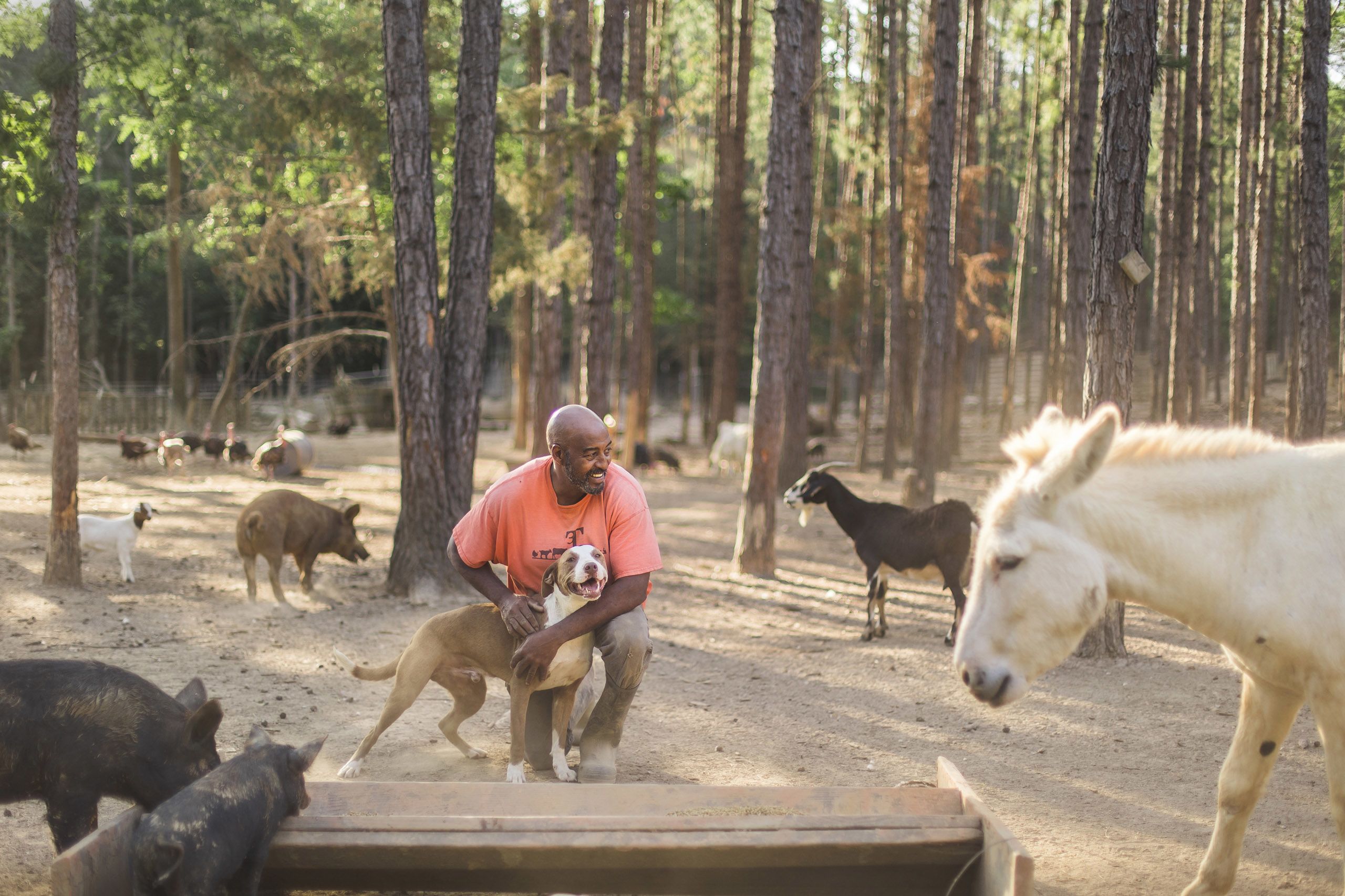 Iteago Felton, owner of 3T Farms, pets a brown and white dog. Around him are several animals, including goats, pigs and a white donkey.