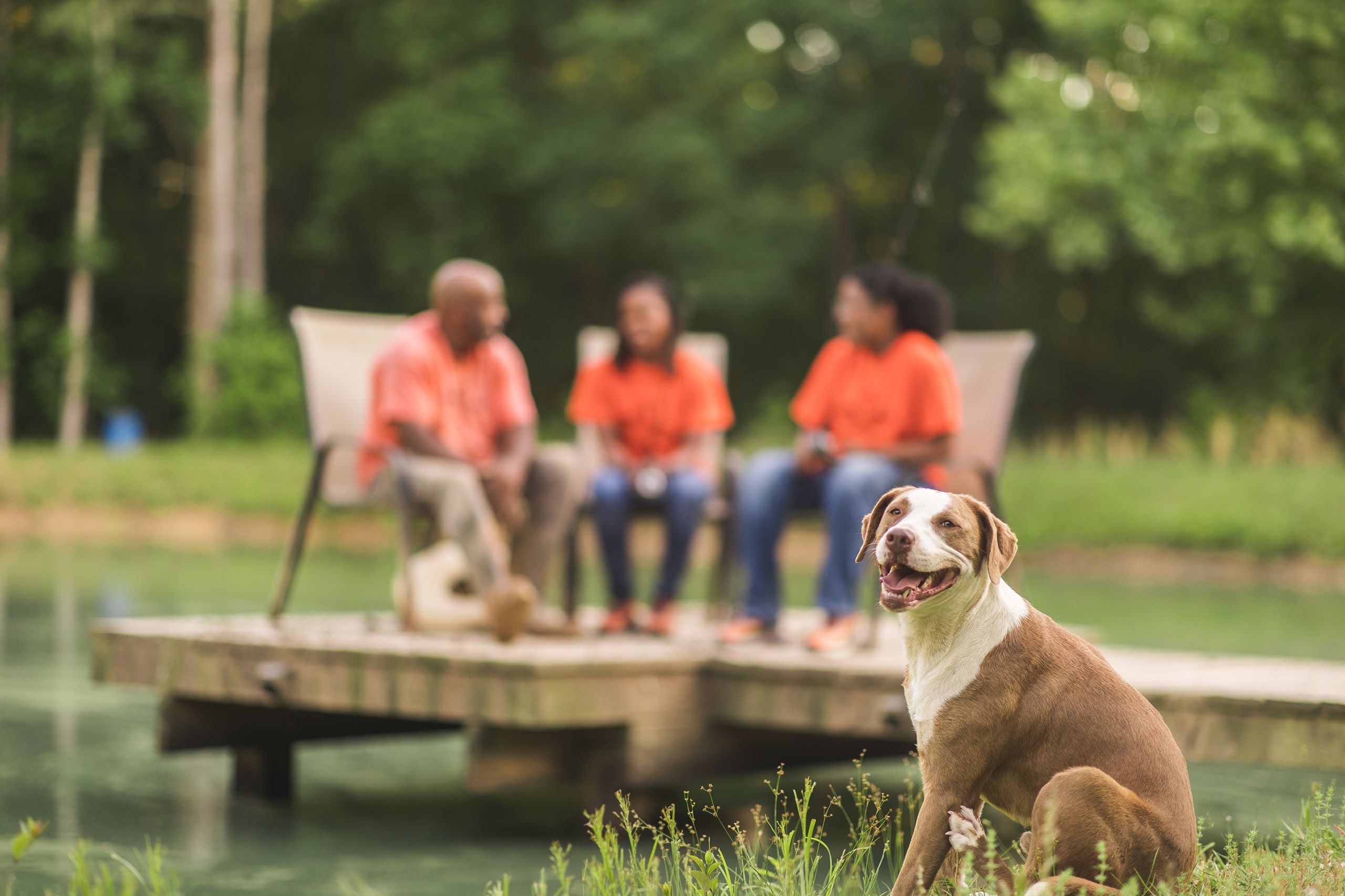 A brown and white dog in the foreground. Behind the dog are Iteago Felton, his wife, Antheena, and their daughter, Anteaona sitting in chairs. The people are all wearing orange t-shirts.