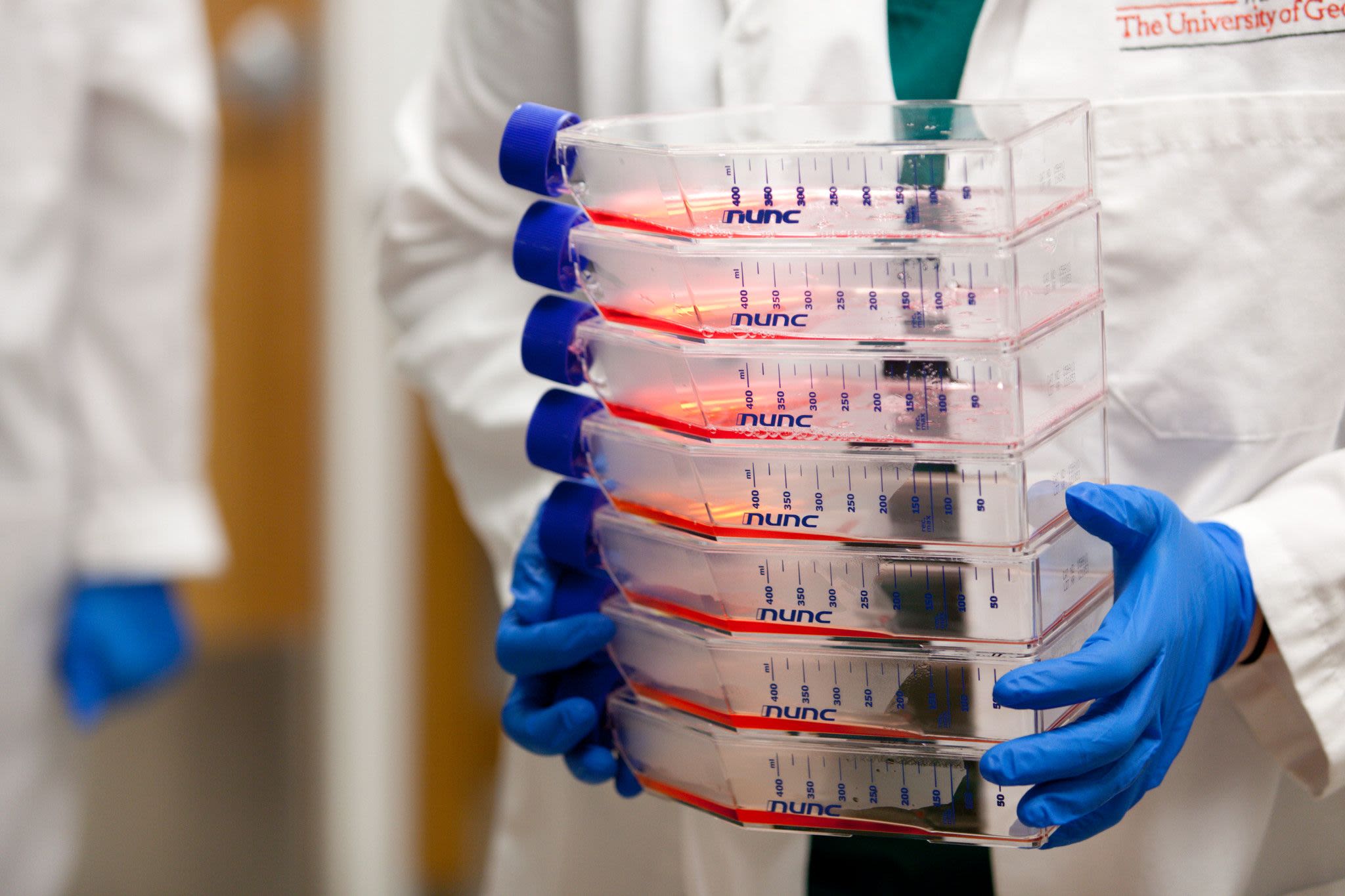 A researcher carries lab equipment while wearing blue latex gloves and a UGA-branded lab coat
