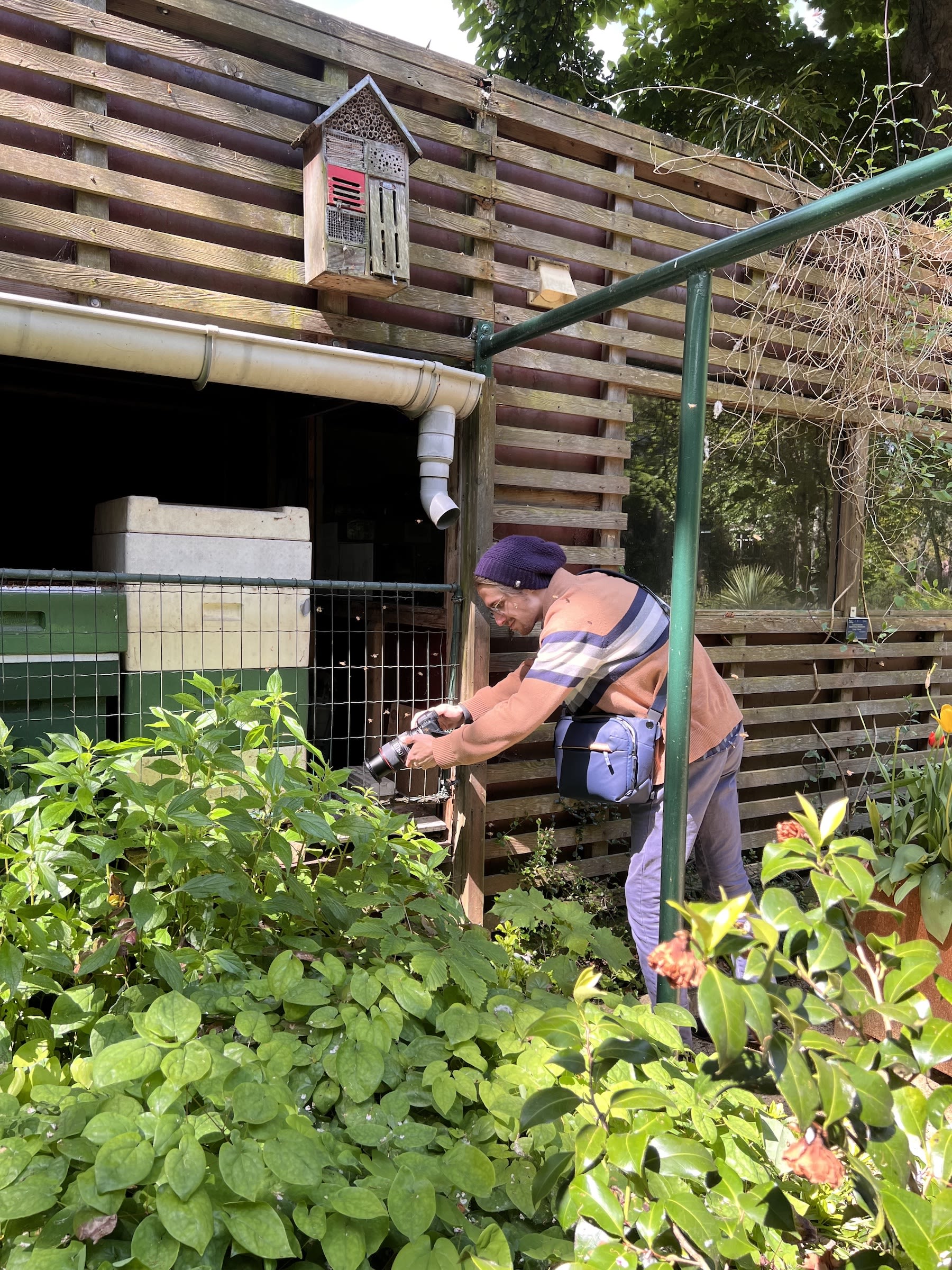 A student leans forward to take a photo of a plant with a zoom lens