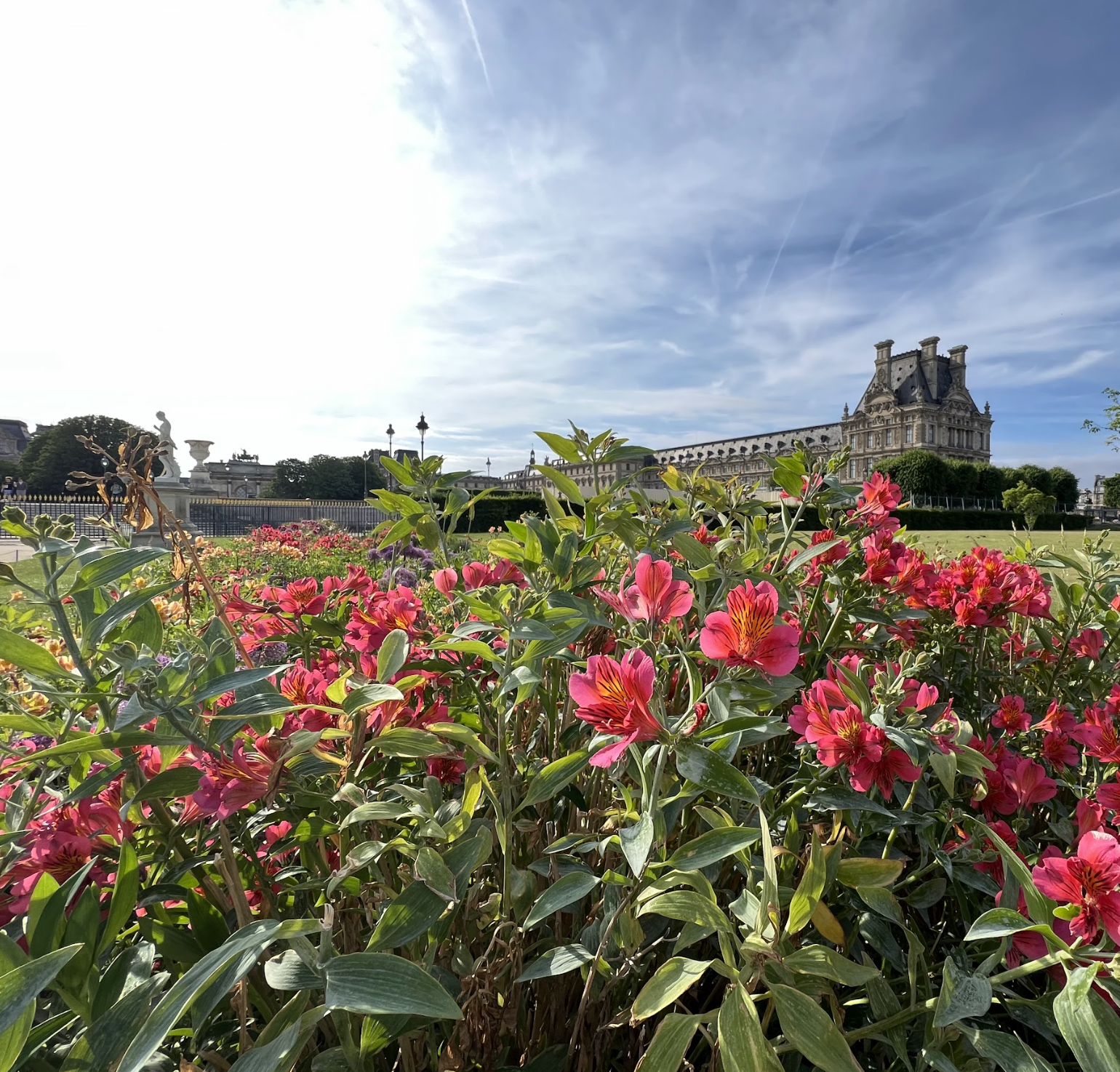 Alstroemeria flowers grow in gardens outside historical building