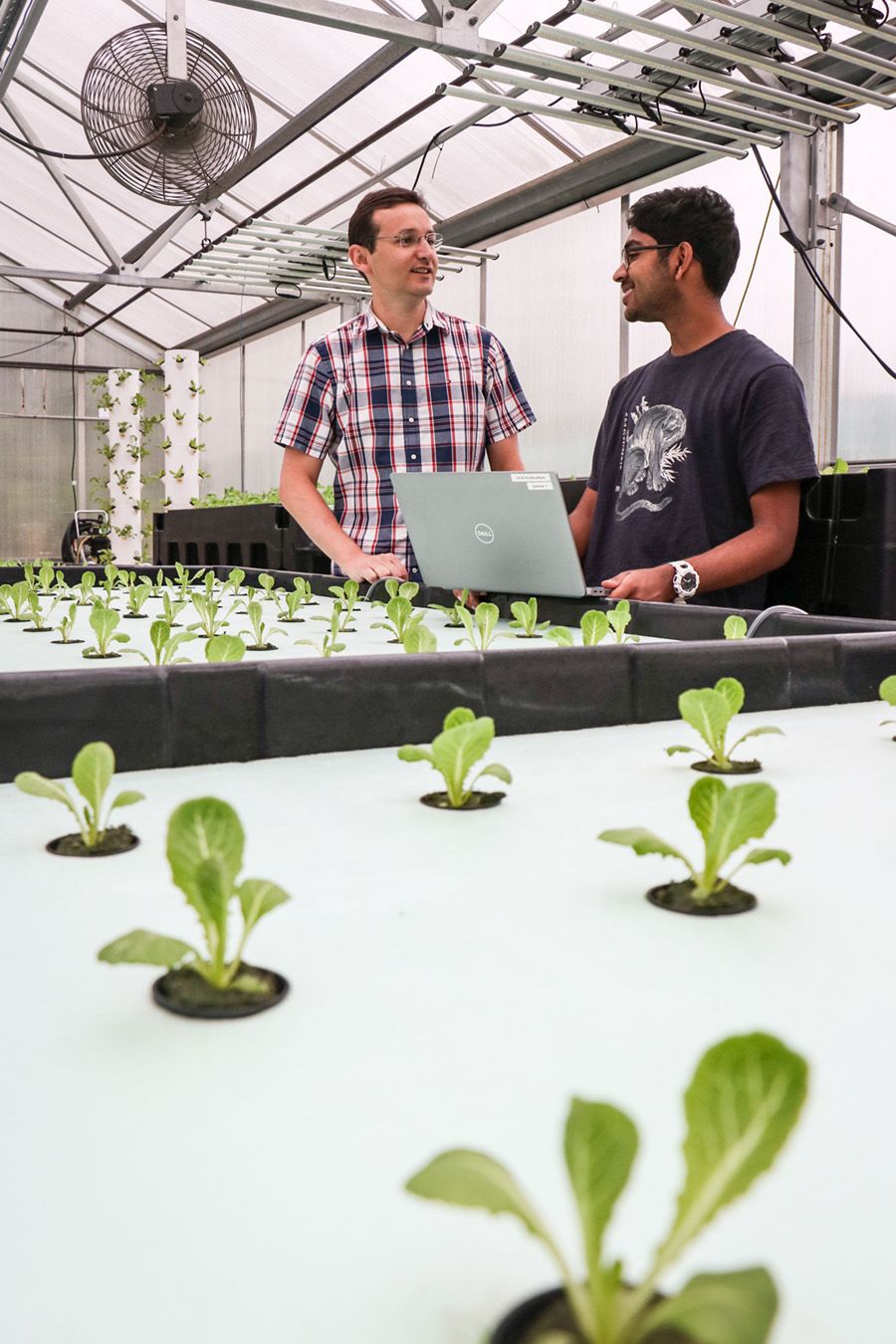Rhuanito Ferrarezi and Saahas Swaroop stand in a greenhouse with lettuce plants growing in pallets.