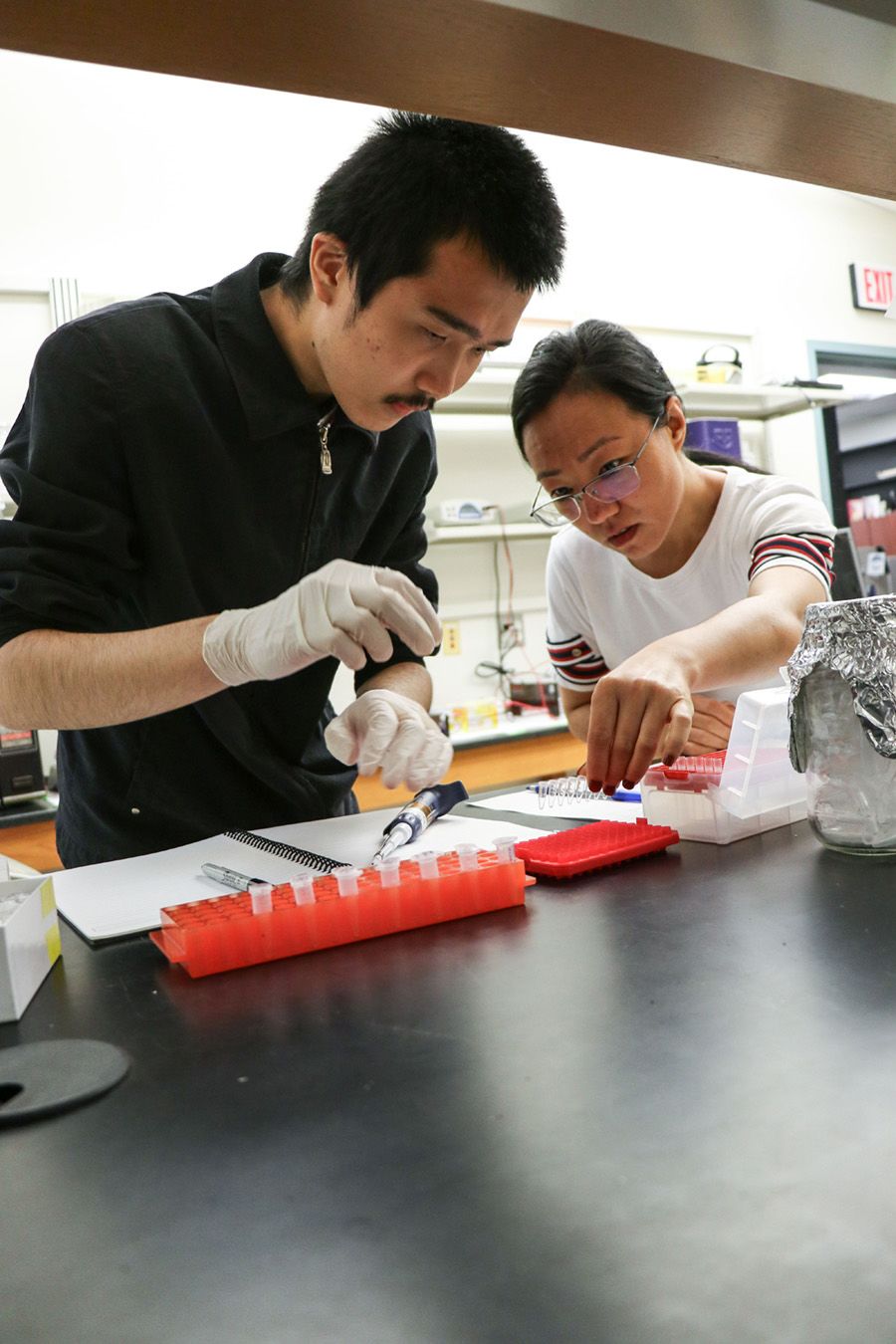 Lei Zhang and Jia Chai conduct genetics research in a lab.