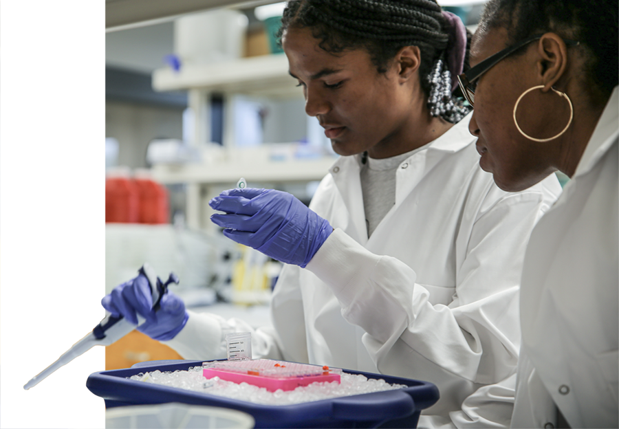 Keela Boyce looks at a sample in a YSP lab.