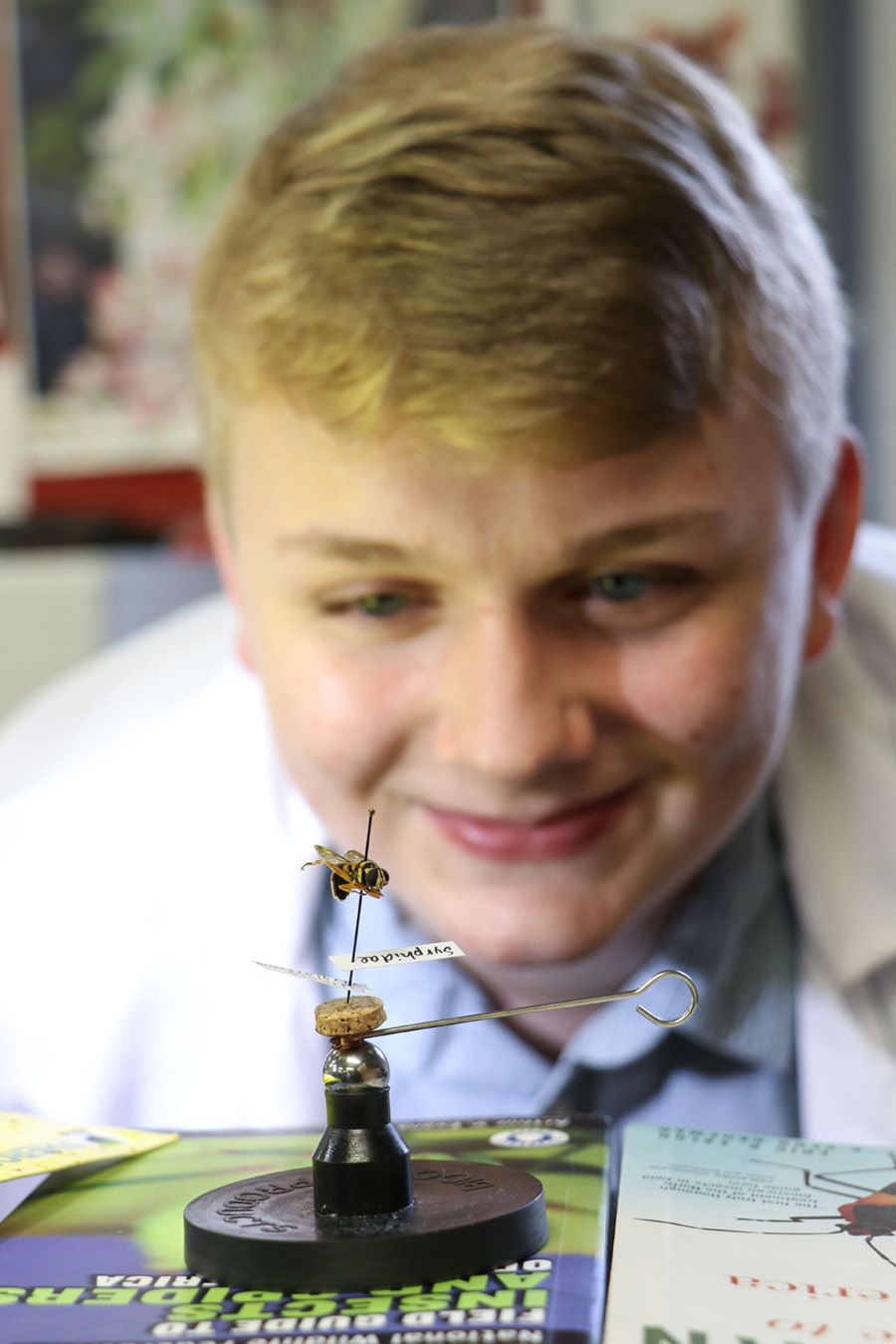 Max Draughn looks at a fly pinned and displayed on a pedestal