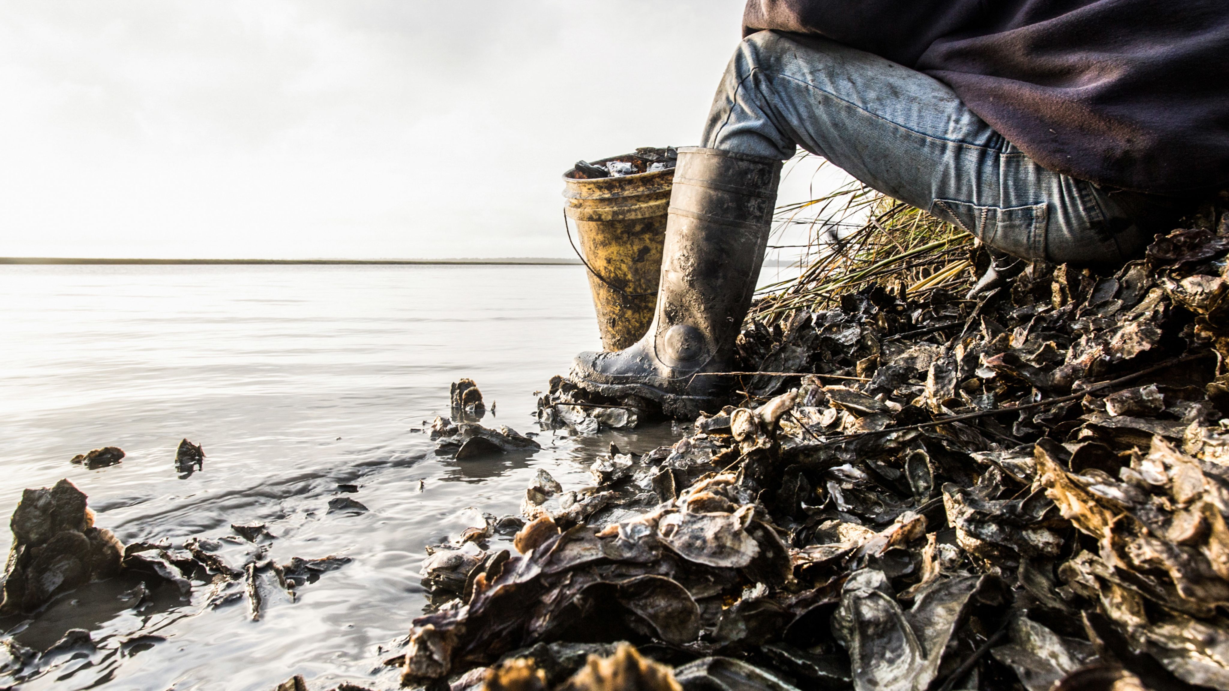 A view of a person's boot and leg and a bucket full of oyster shells, resting on oyster shells on the Georgia coastline.