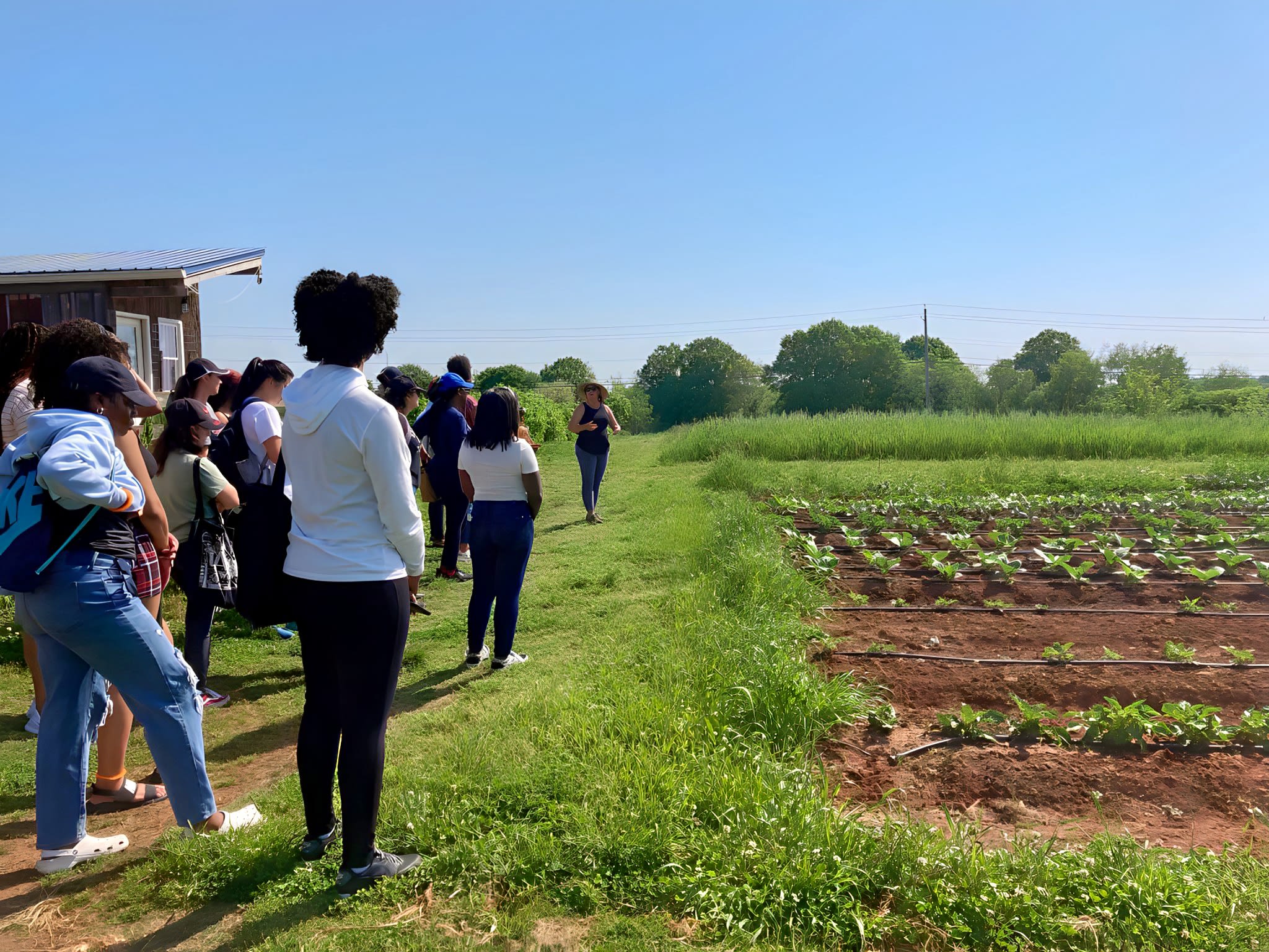 Thompson is giving a tour to students at UGArden, a student community farm on the UGA campus in Athens, Georgia. It's a sunny day, green grass lines a field of brown soil and green crops growing.