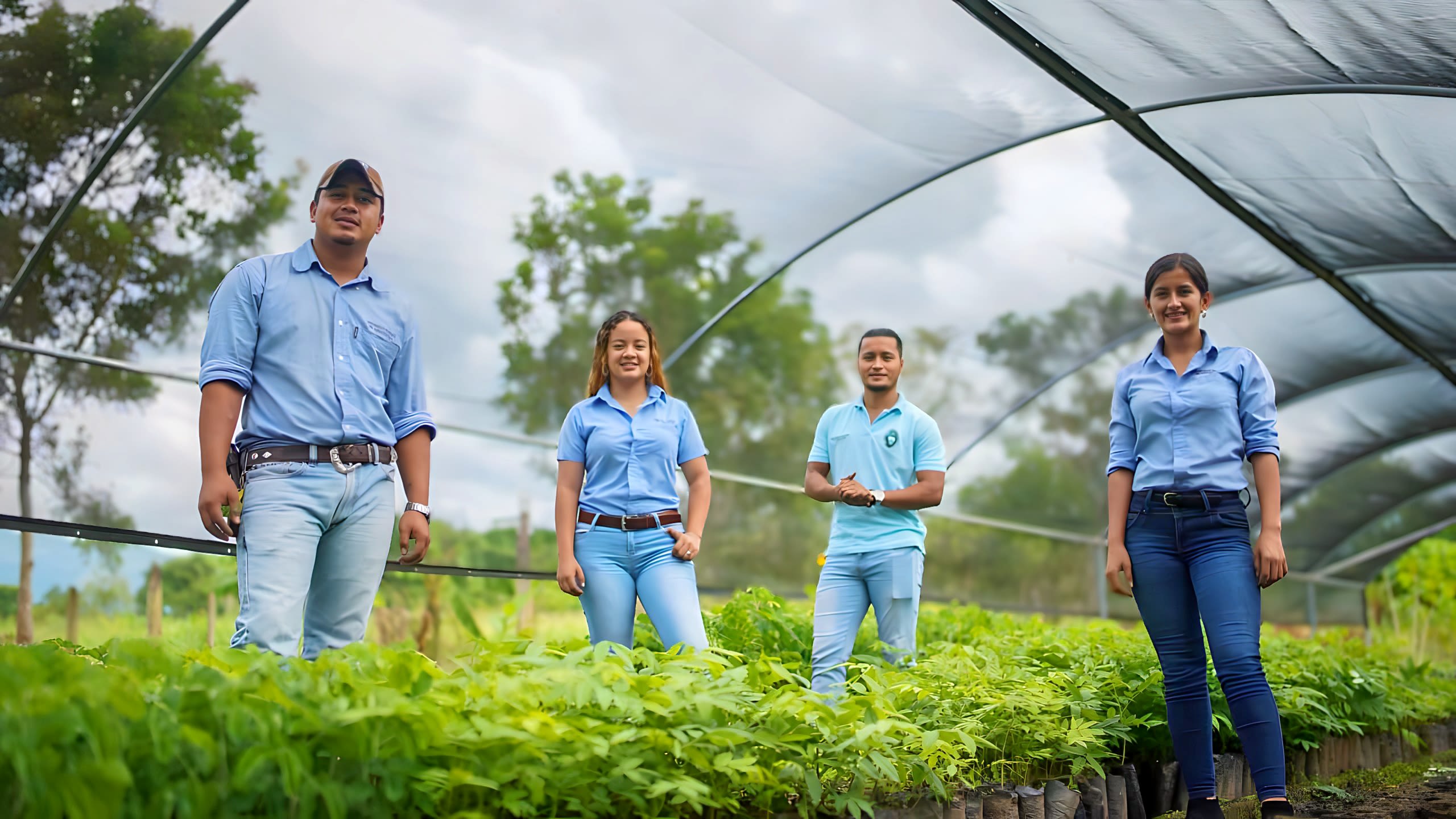 Four UNAG students stand in a shaded high tunnel with green plants growing around their feet. They are all wearing bluejean pants and blue UNAG shirts as they smile for the photo.
