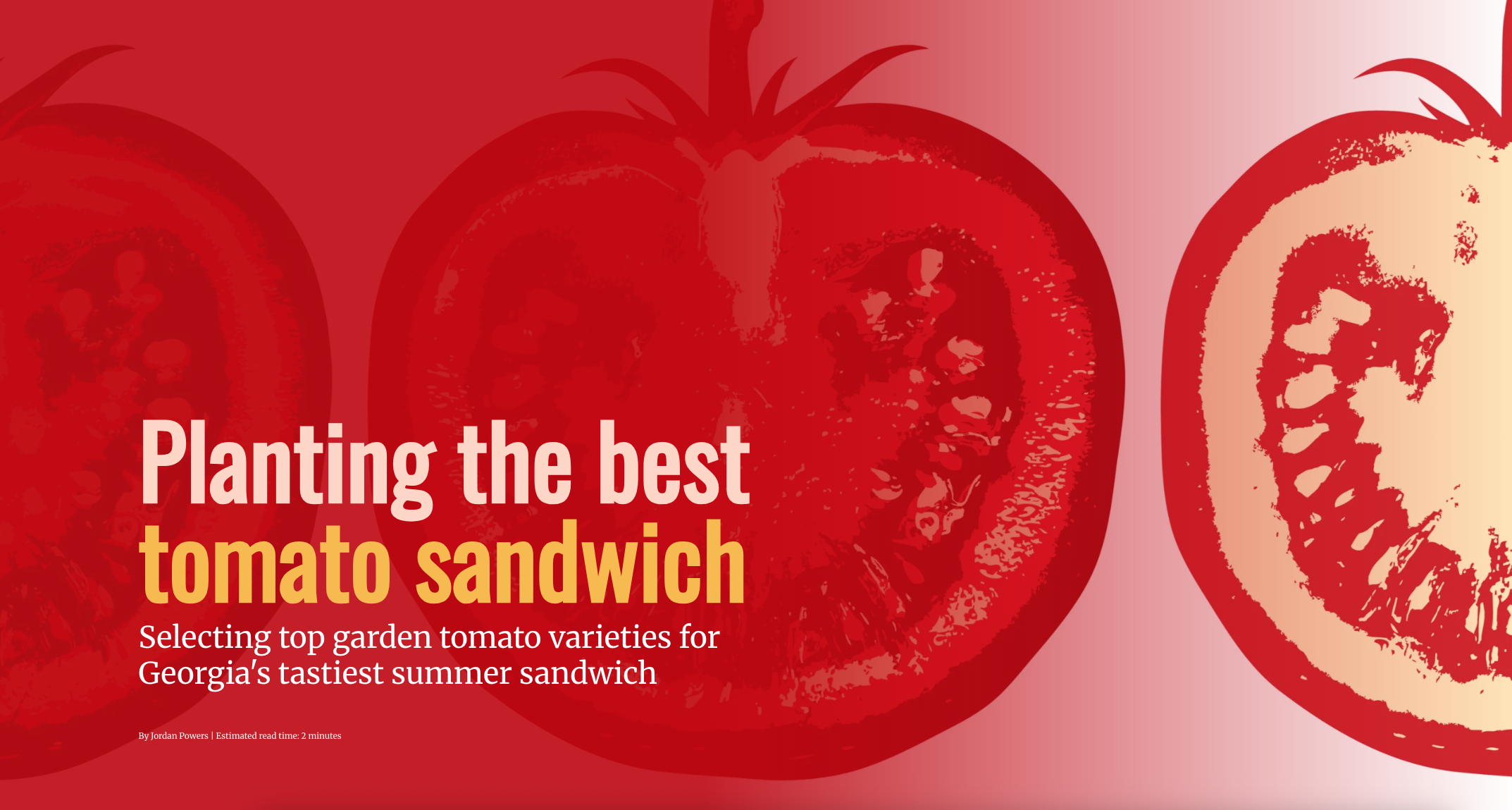 Screen shot of the title page for "Planting the best tomato sandwich," which has a vector drawing of tomatoes in the background.