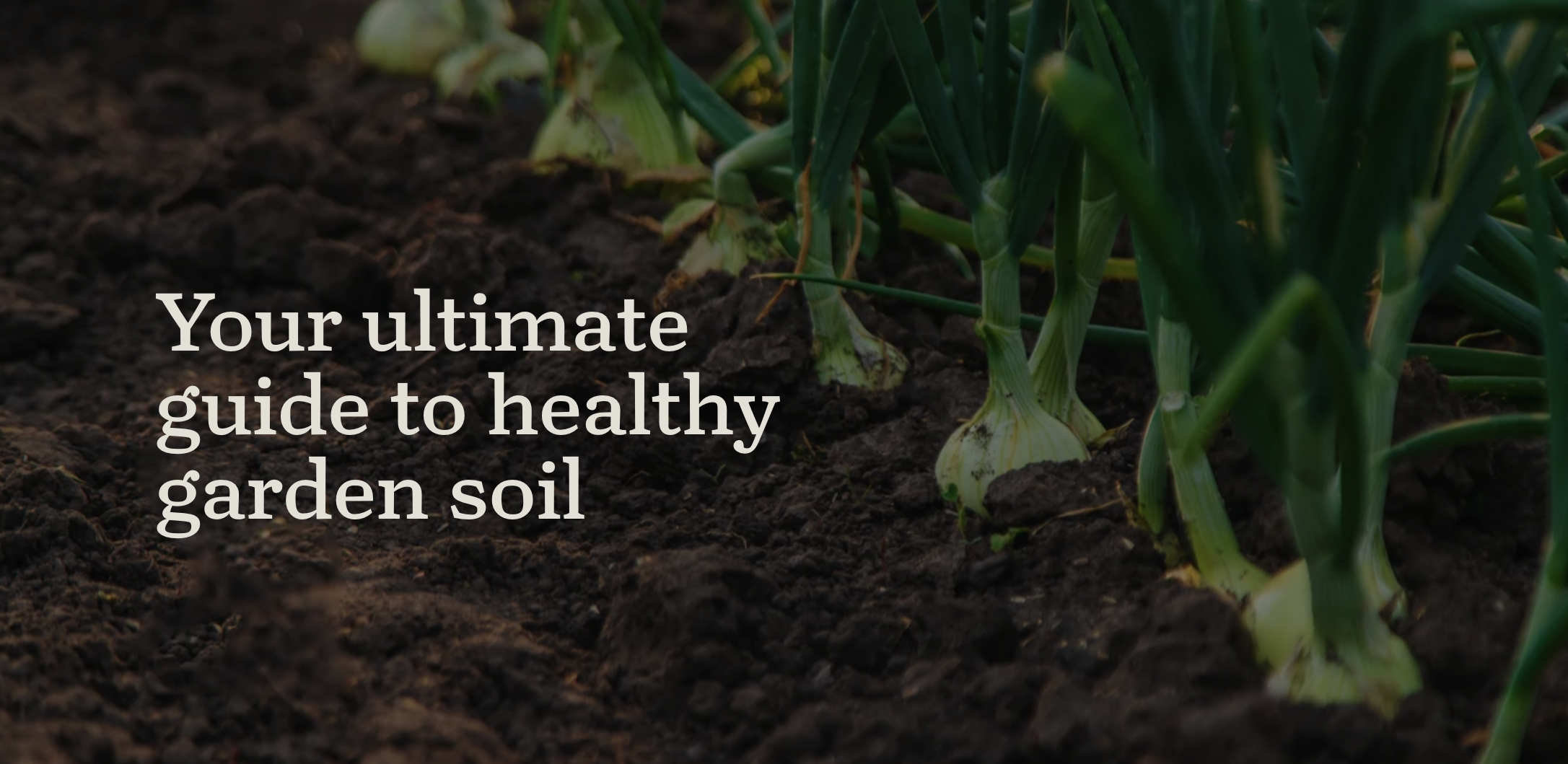 Screen shot of the title page of "Your ultimate guide to healthy garden soil," which has rows of onions growing in brown soil in the background.