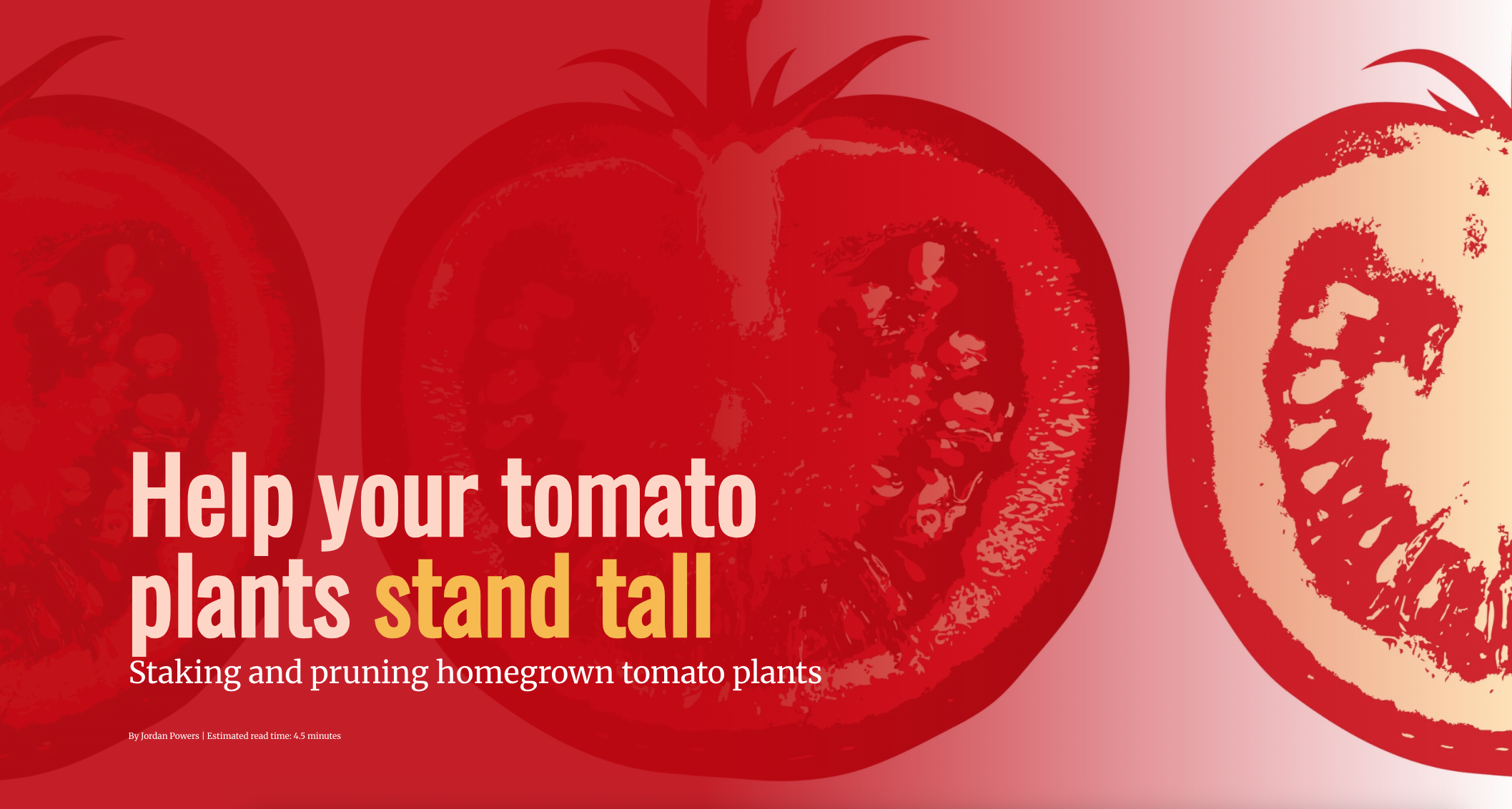 Screen shot of the title page for "Help your tomato plants stand tall," which has a vector drawing of tomatoes in the background.