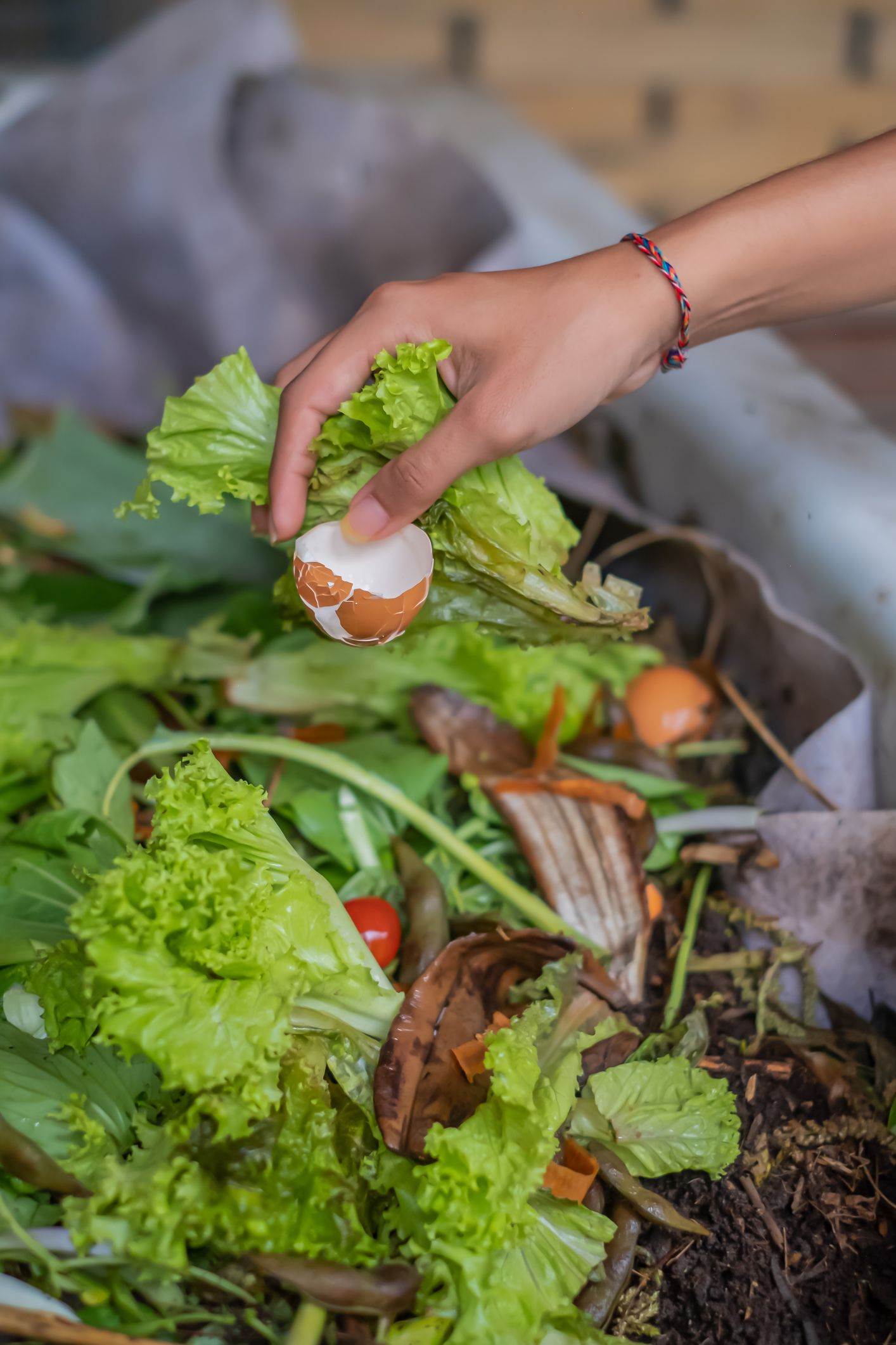 Close-up vertical shot of unrecognizable female hand-throwing rotten lettuce and crack open egg into compost bin