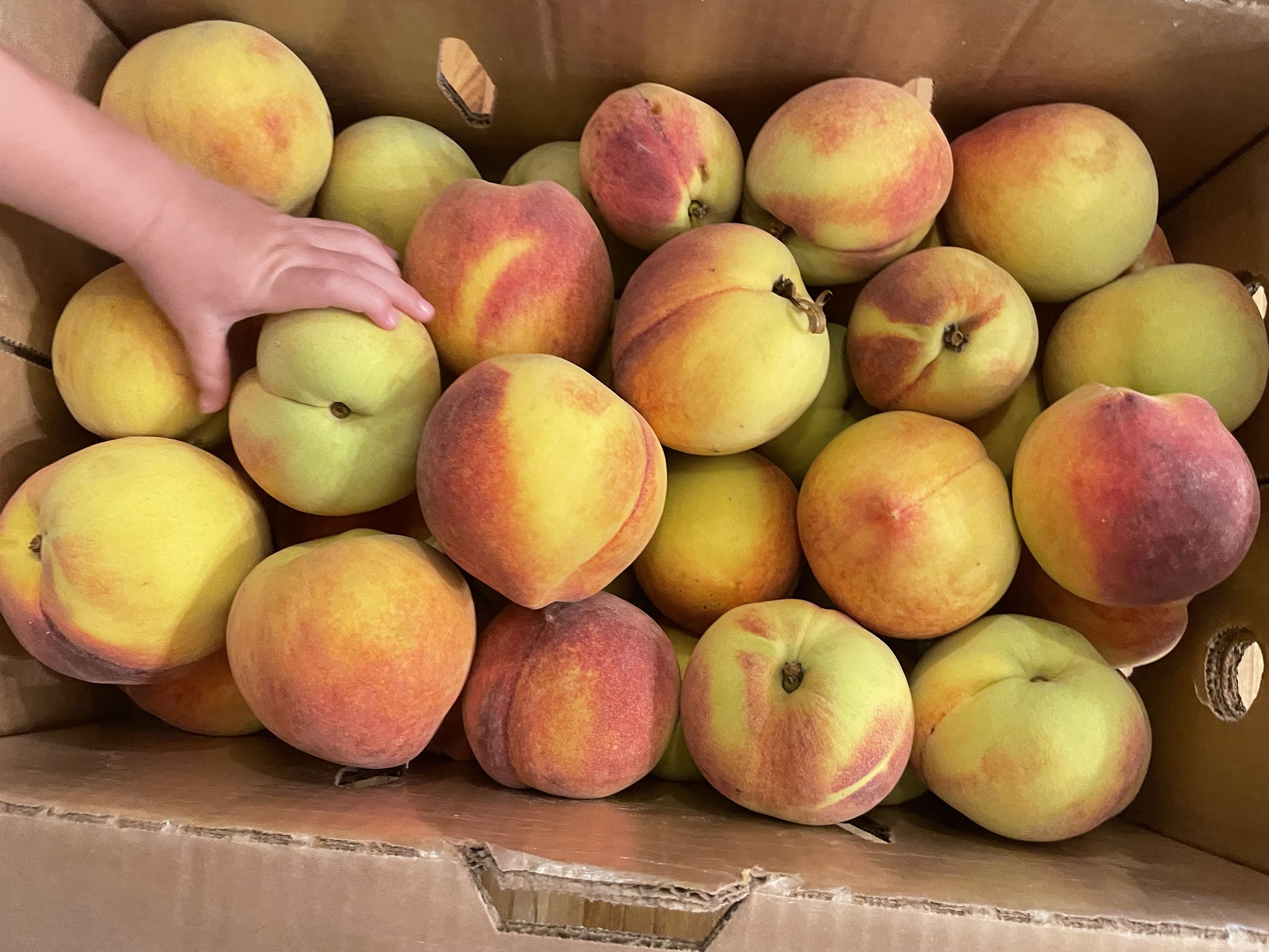 A child's hand reaches for a peach