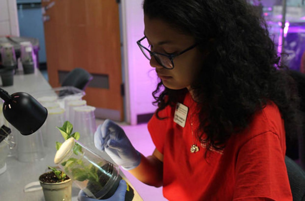 Catrina holds a plant in a test tube, in a lab