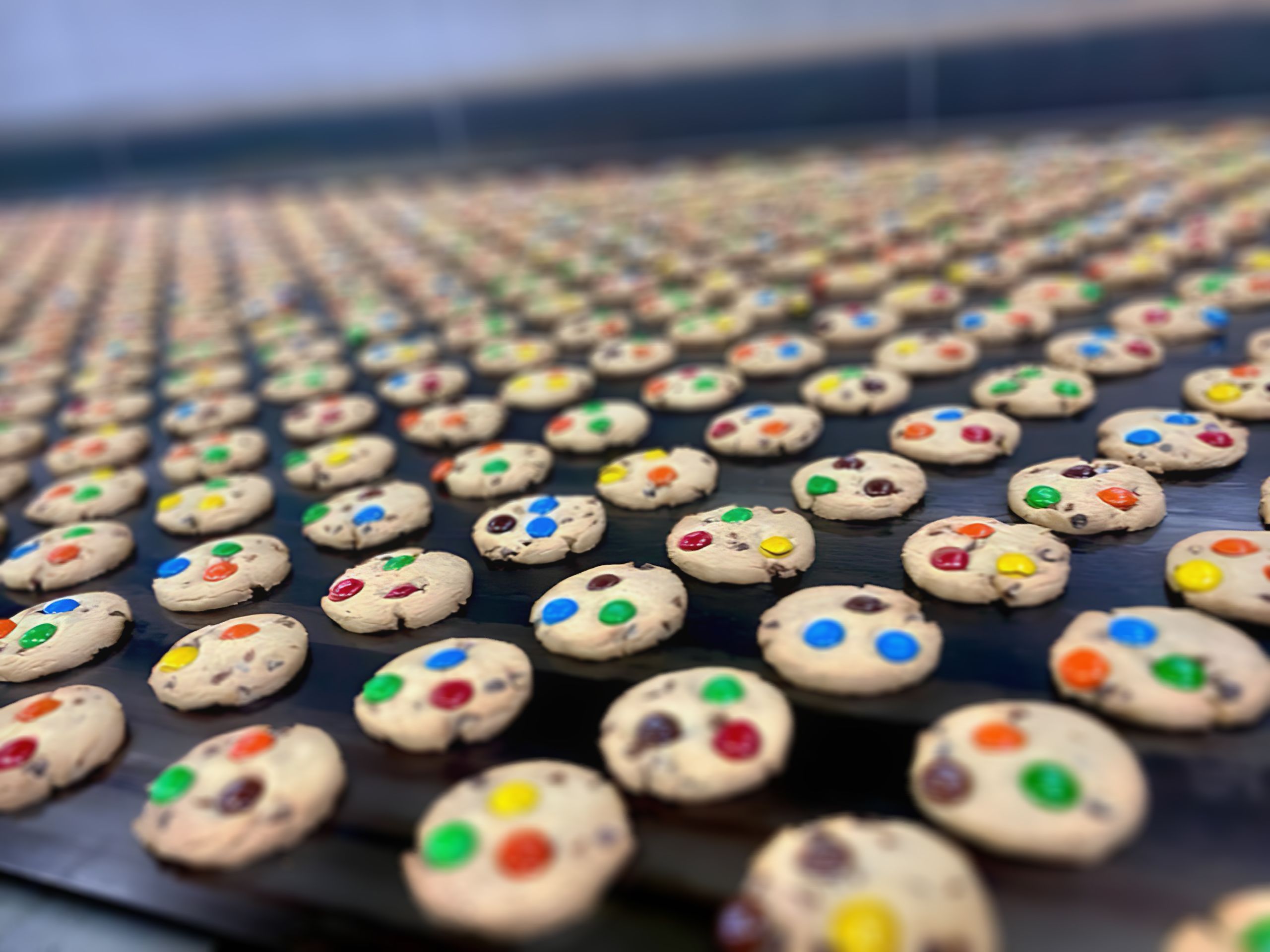 A conveyor belt filled with neat rows of chocolate chip cookies toped with colorful candy pieces.