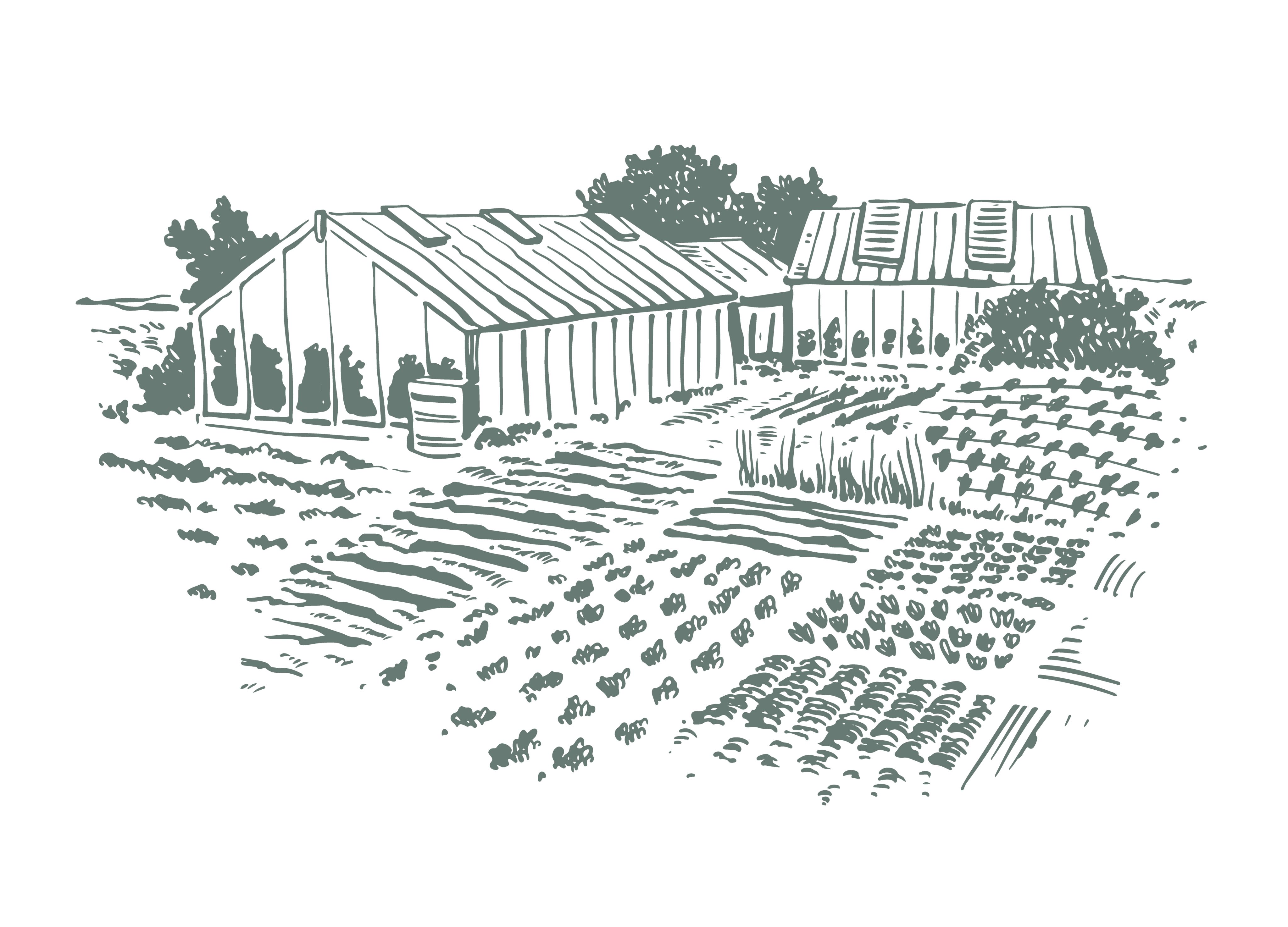 Illustration representing vertical farming