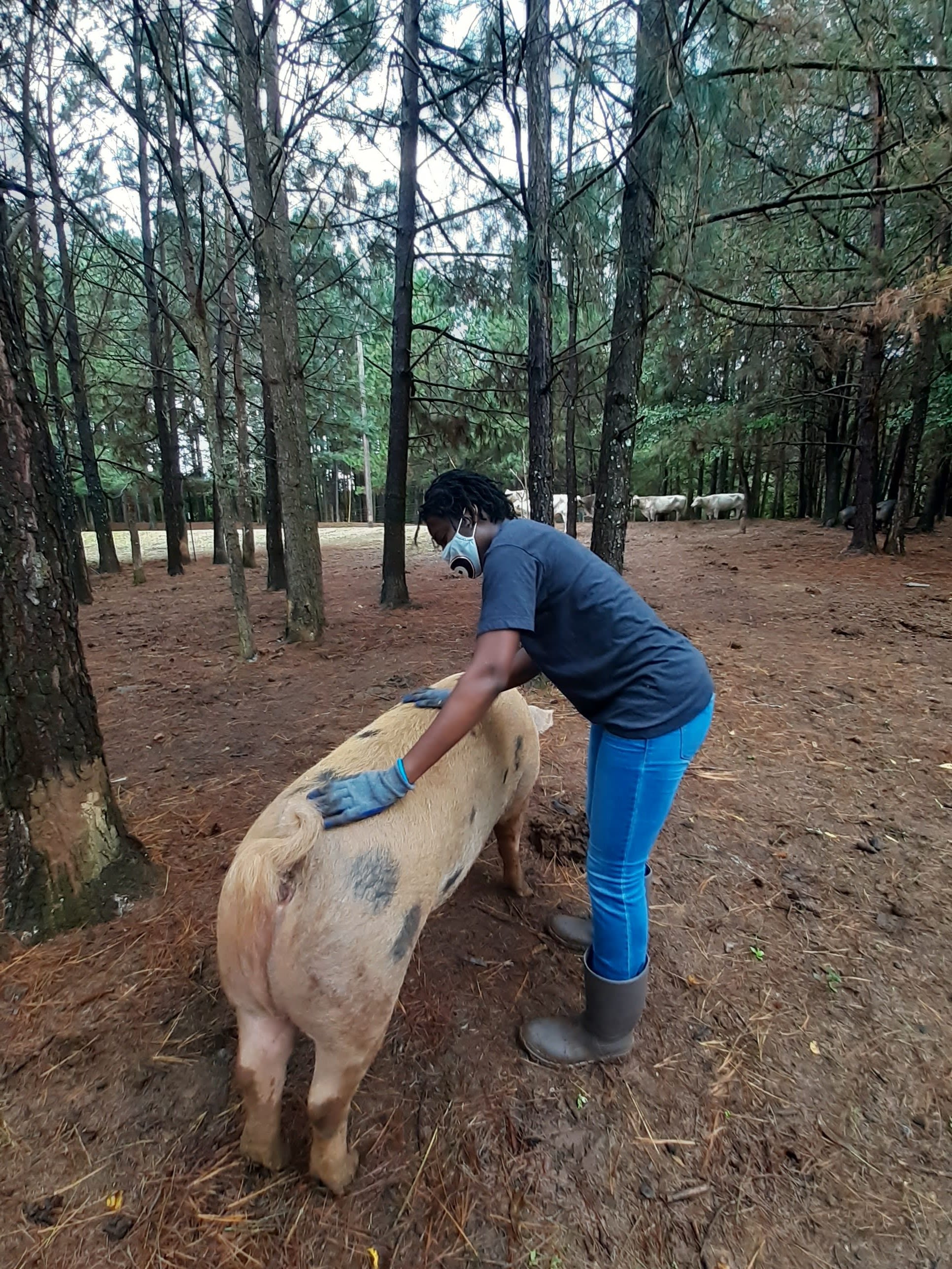 Ashley Lynch with a pig