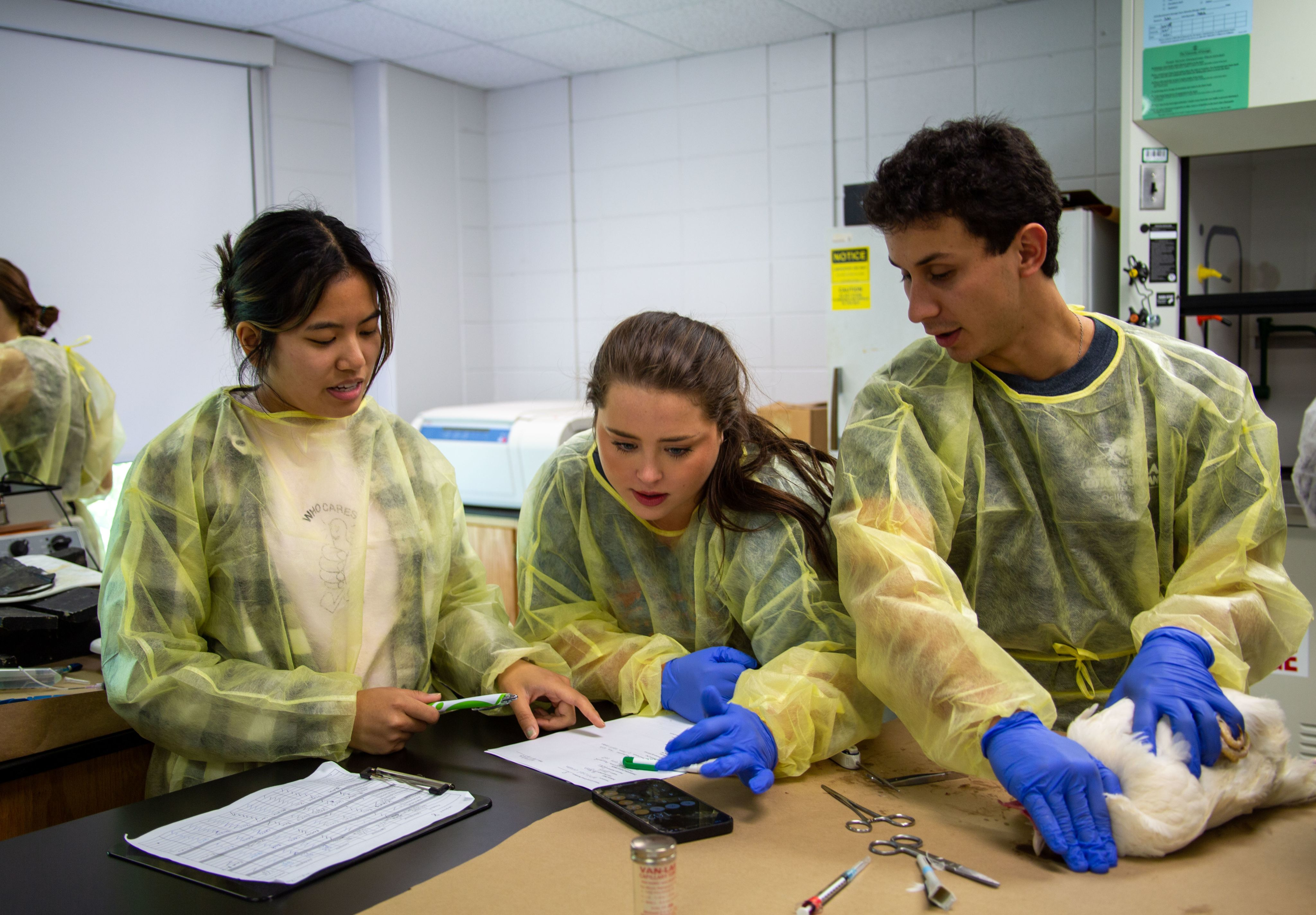 Three students in PPE are looking at a sheet of paper that will guide them through the surgery. One student holds the chicken they will be operating on.