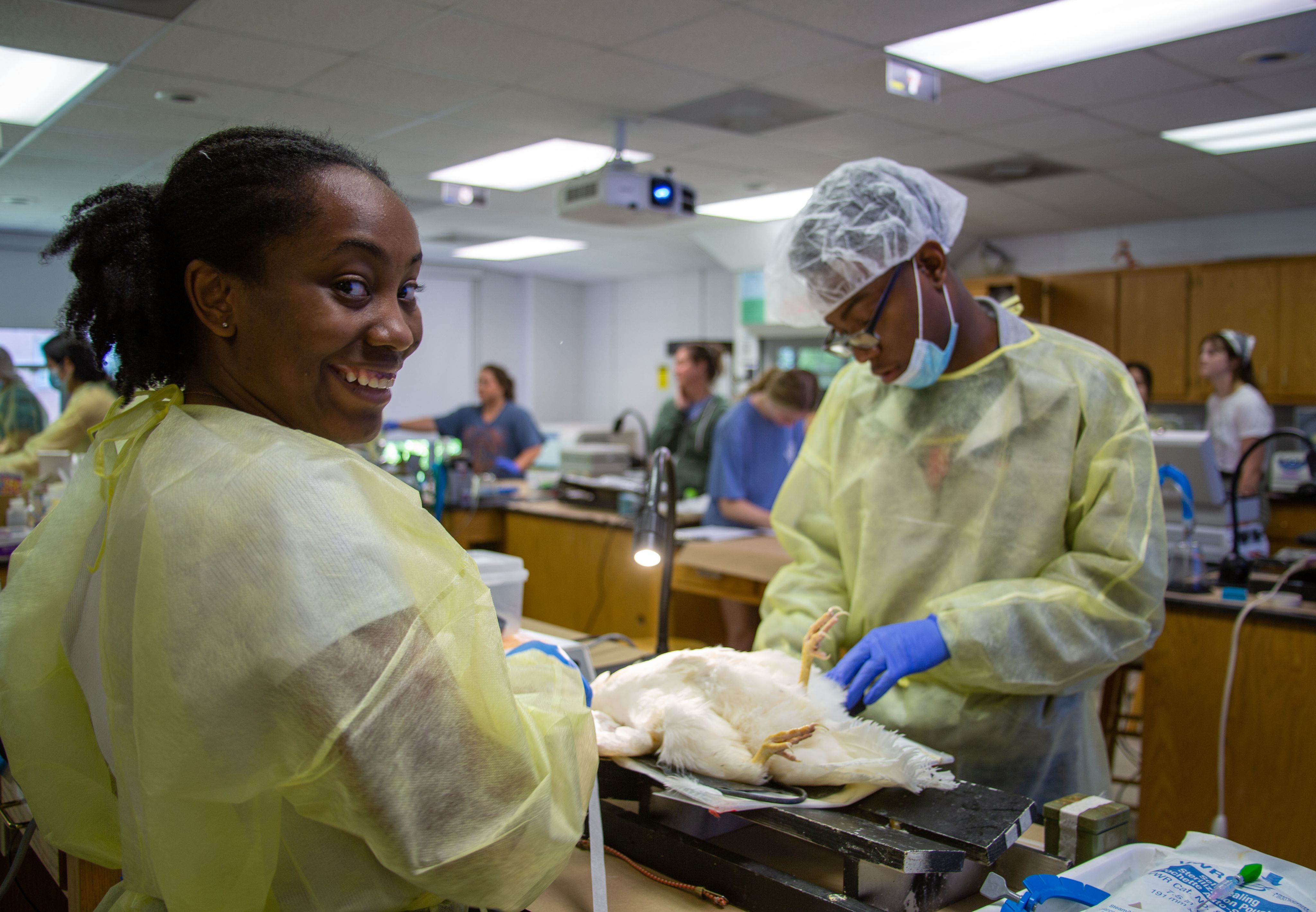 A student in the foreground smiles while a team member works with their surgical chicken in the background