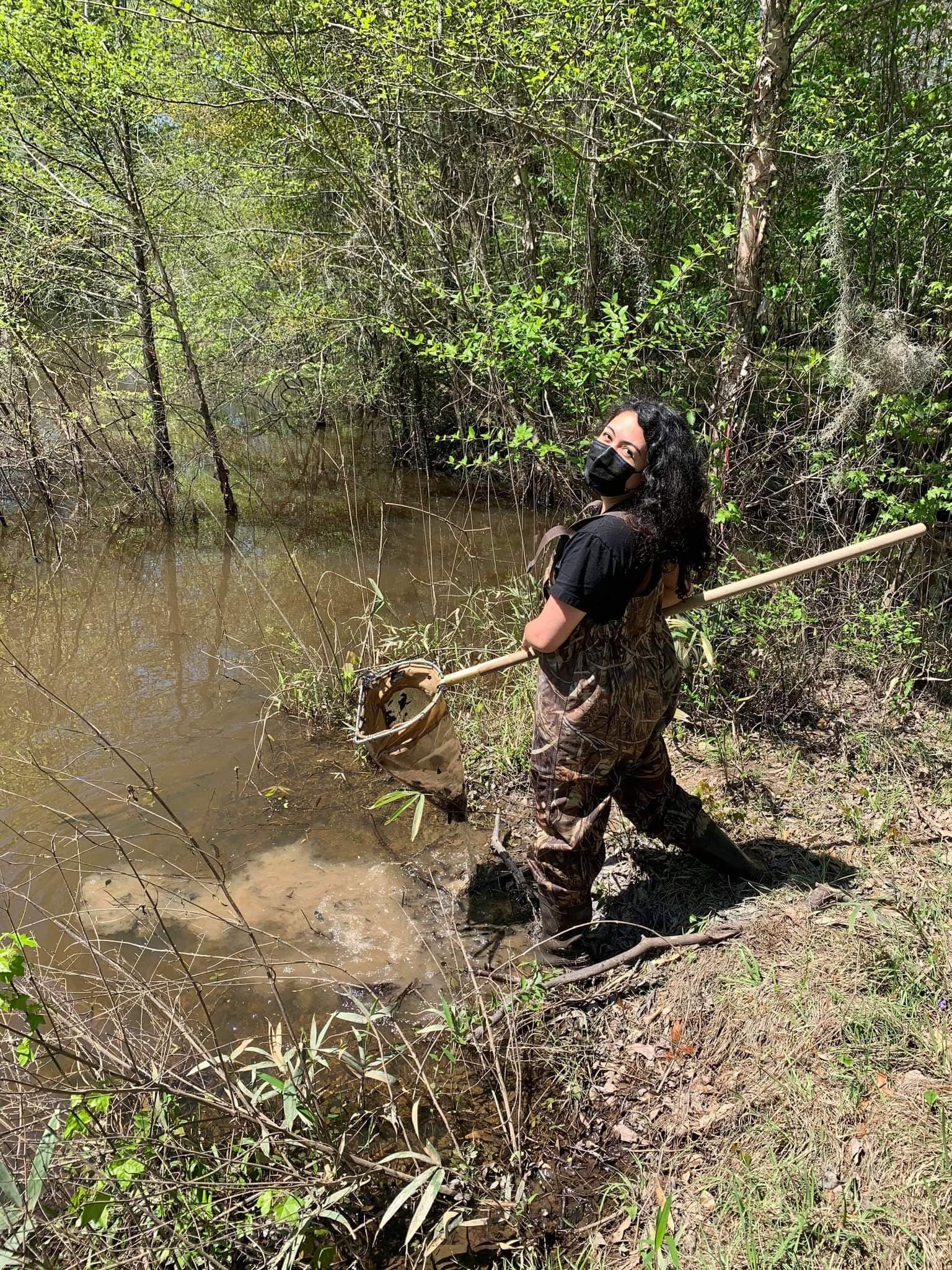 Gabriela Cardona-Rivera wears waders and holds a net while looking for aquatic insects.