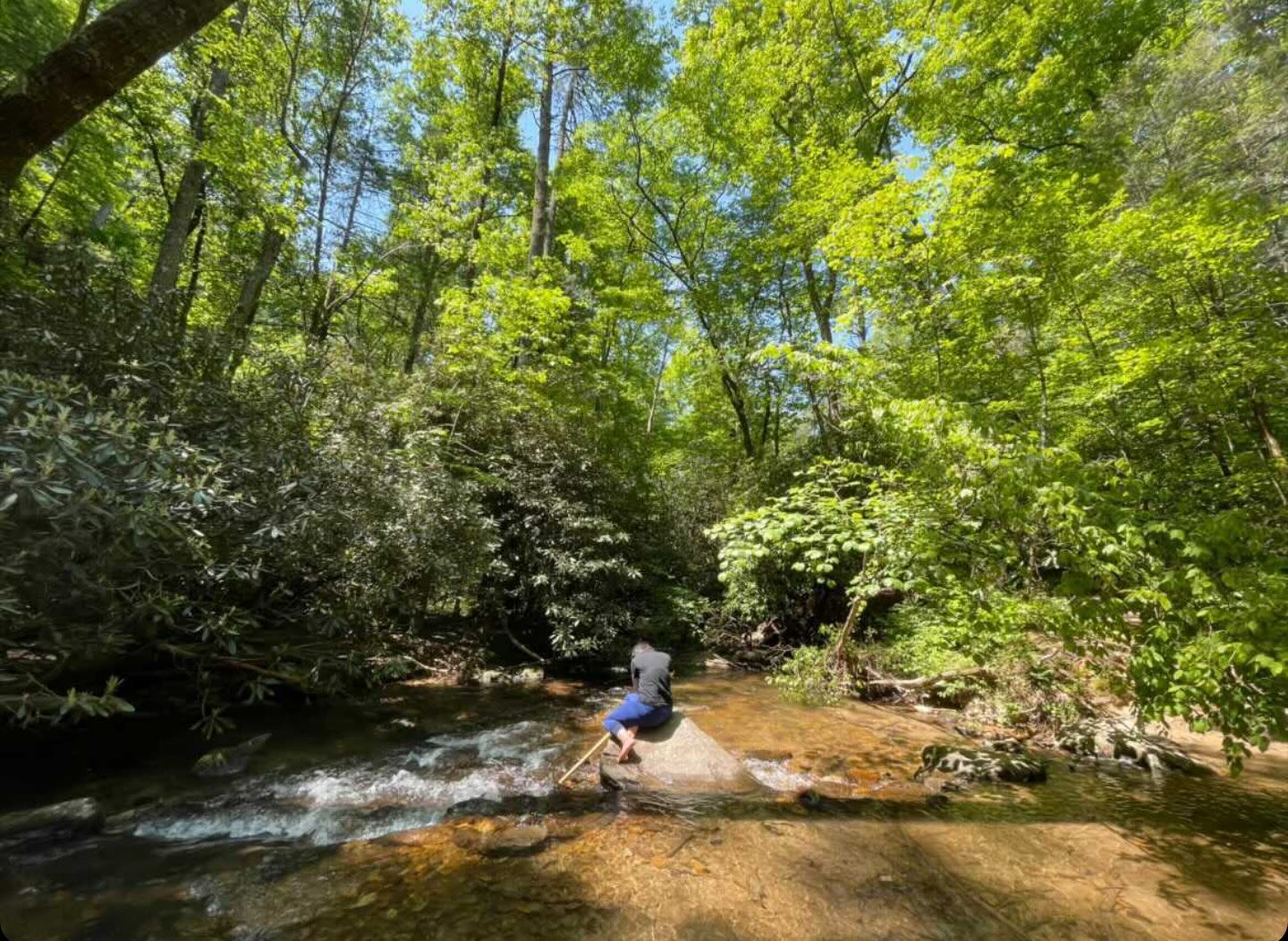 Cardona-Rivera sits on a rock in a creek