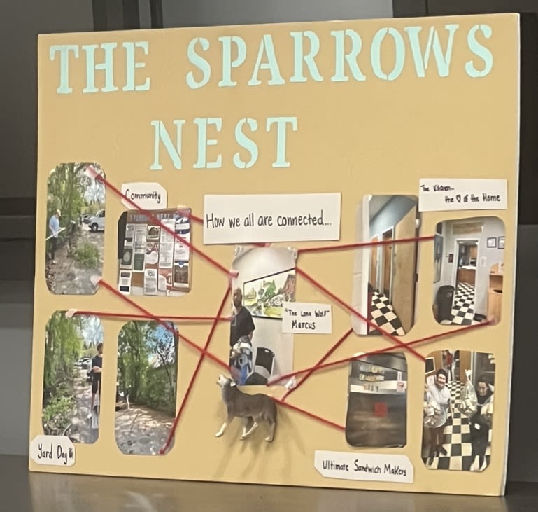 Photo project with interconnecting lines