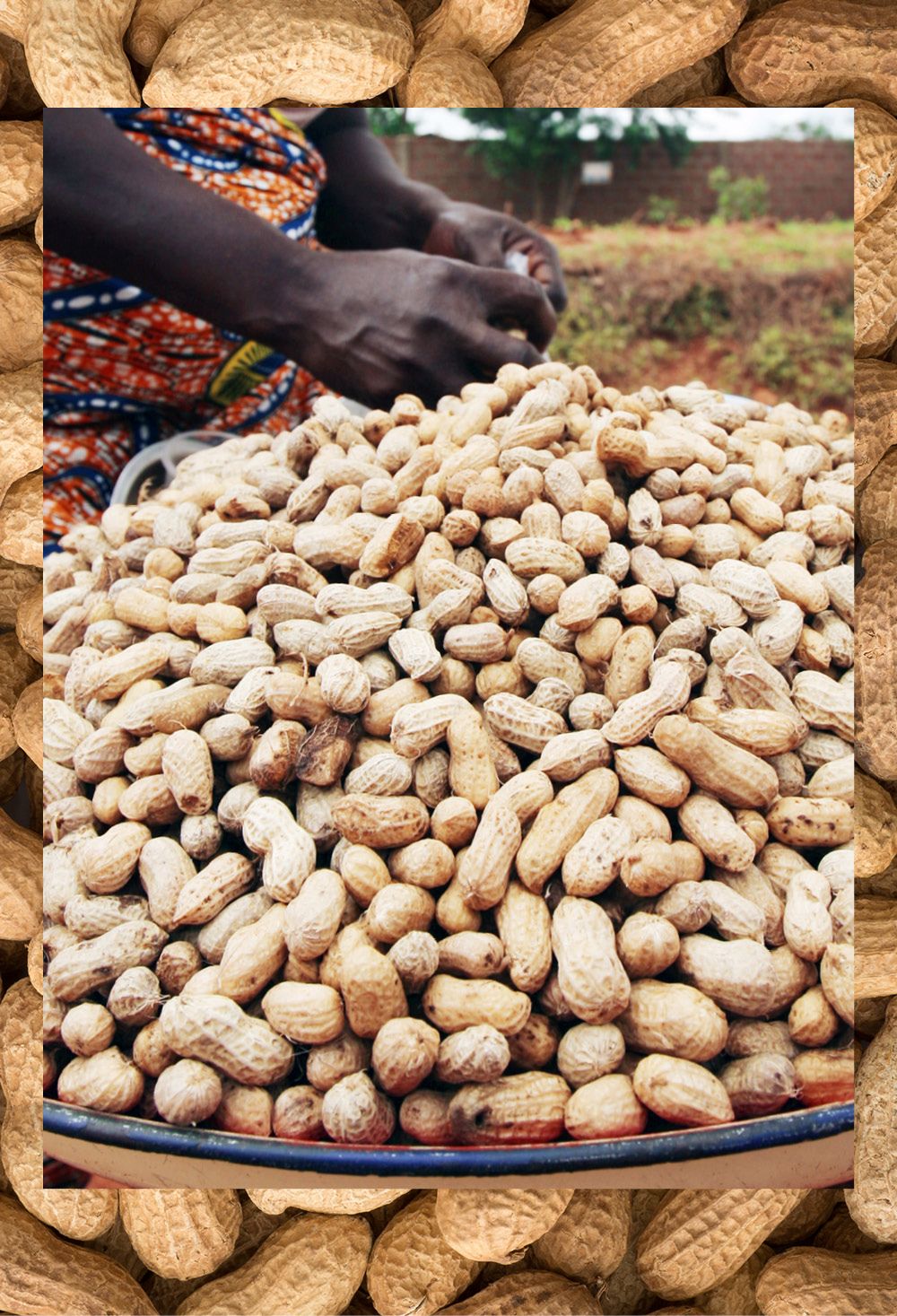 A farmer sells peanuts at an outdoor market