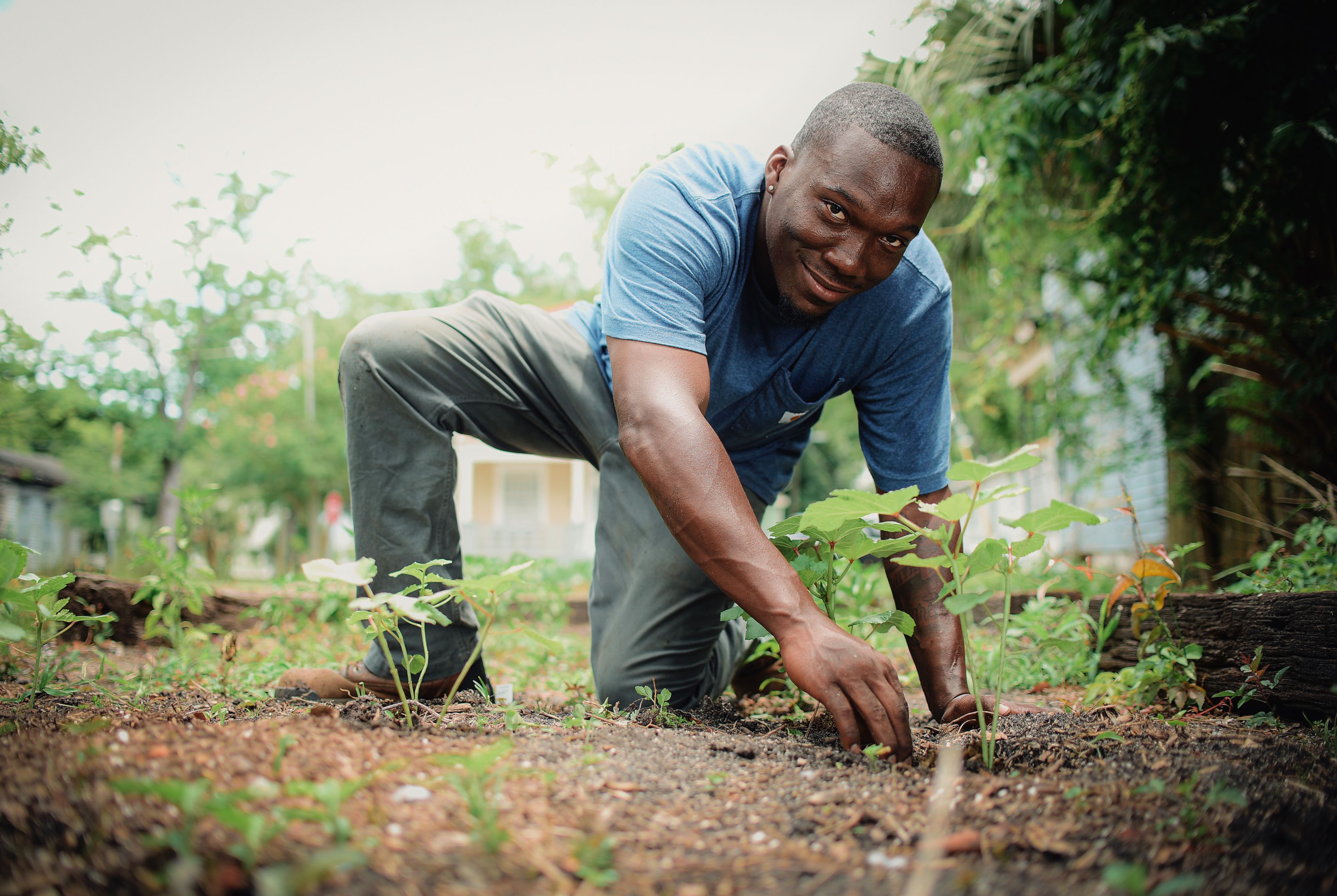 Ground-level shot of Edwin weeding