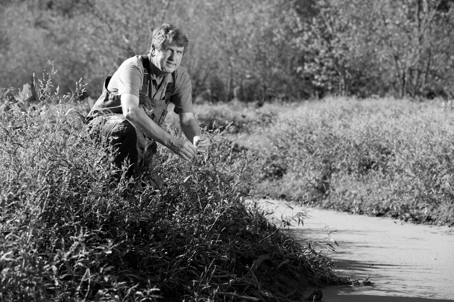 Environmental portrait of Darold Batzer in black and white, kneeling next to a wetland while wearing waders..