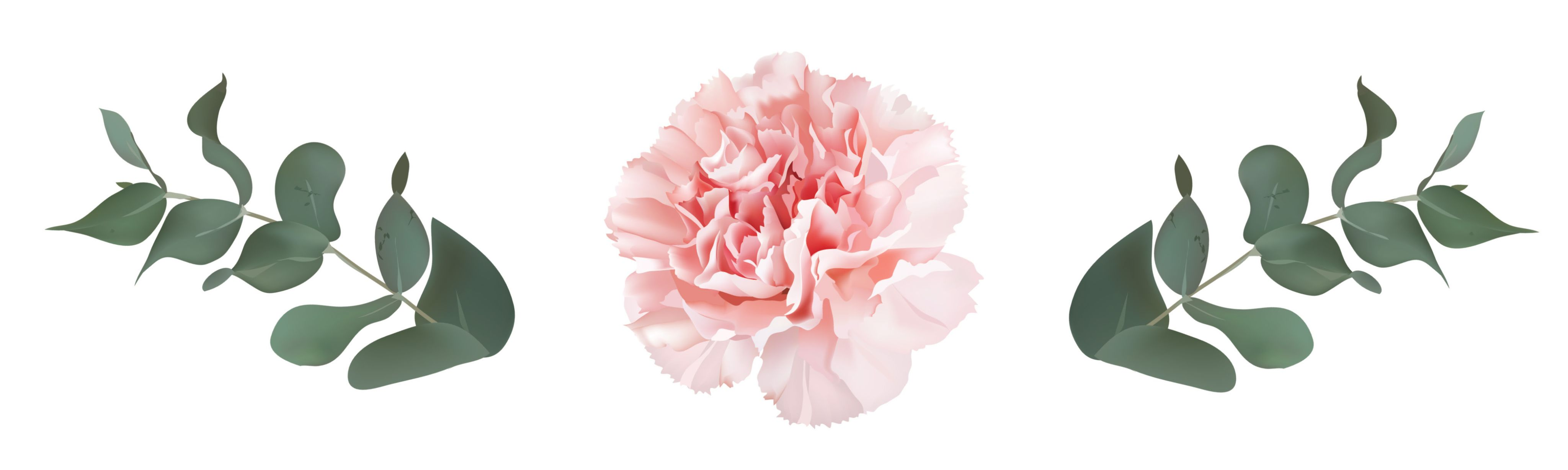 An illustration of a pink carnation surrounded by greenery.