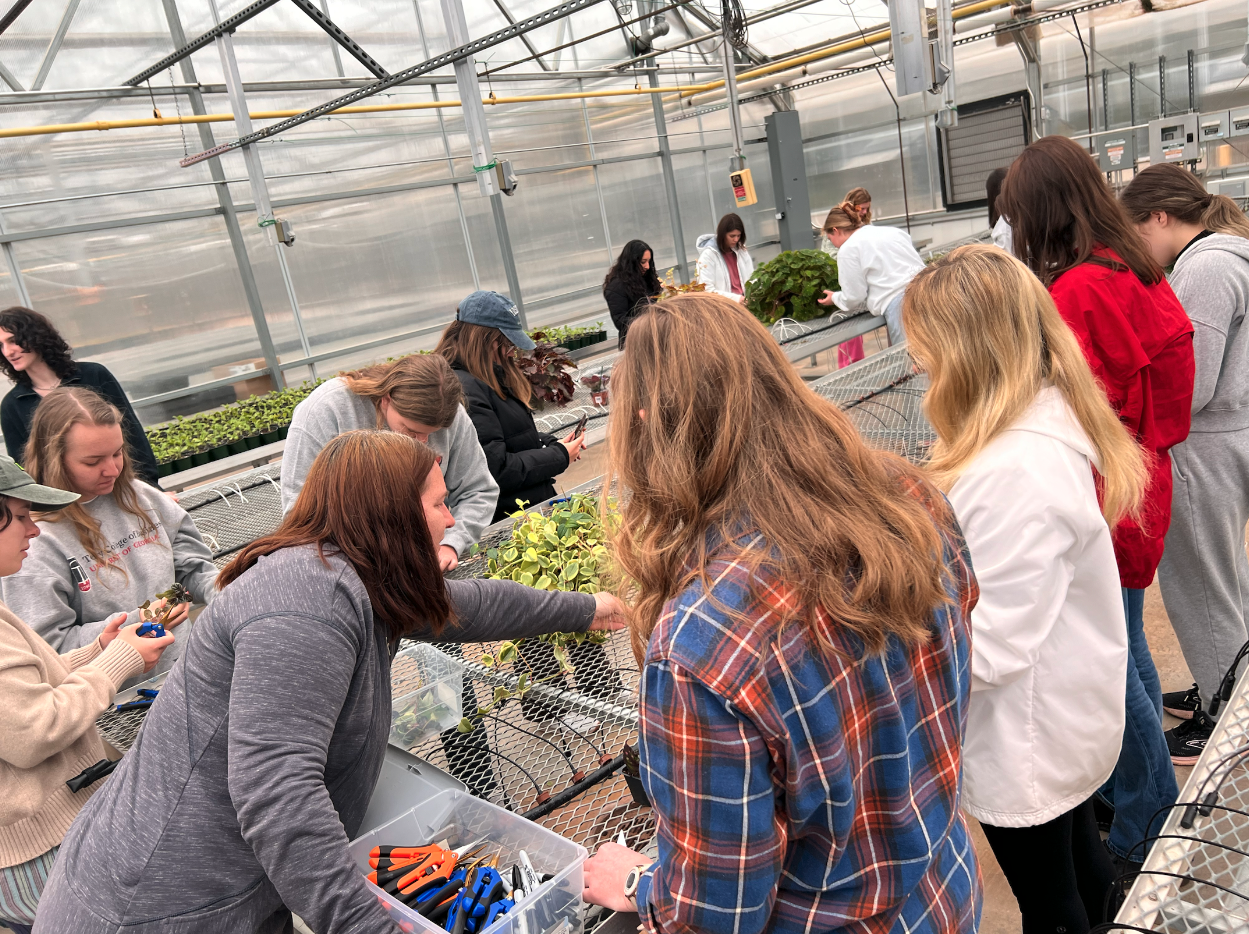 During a lab class, the instructor points out where to cut plants for propagation.