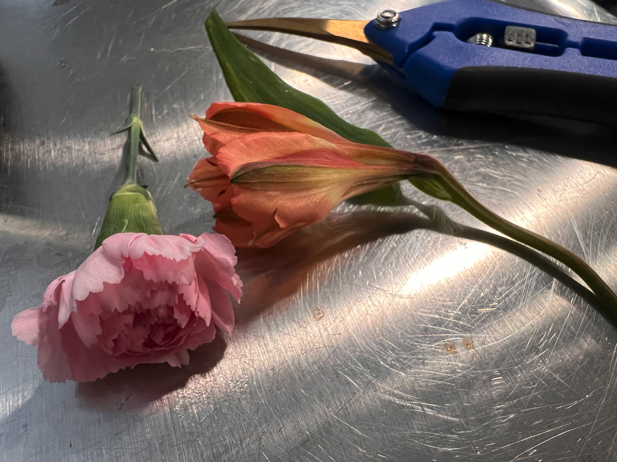 Image of an orange flower and a pink flower next to a pair of shears on a steel table.