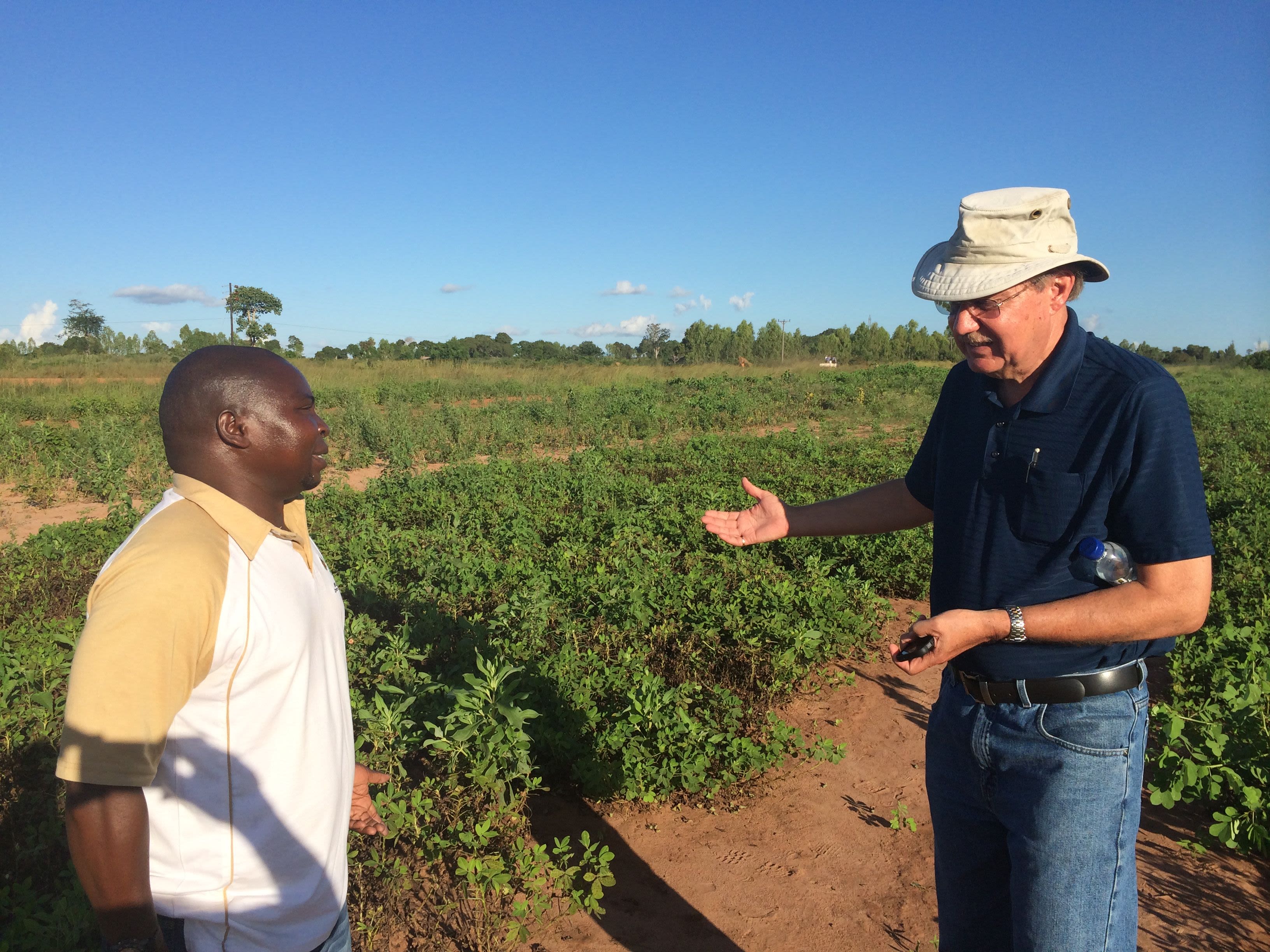 Hoisington speaks with a peanut breeder in the field