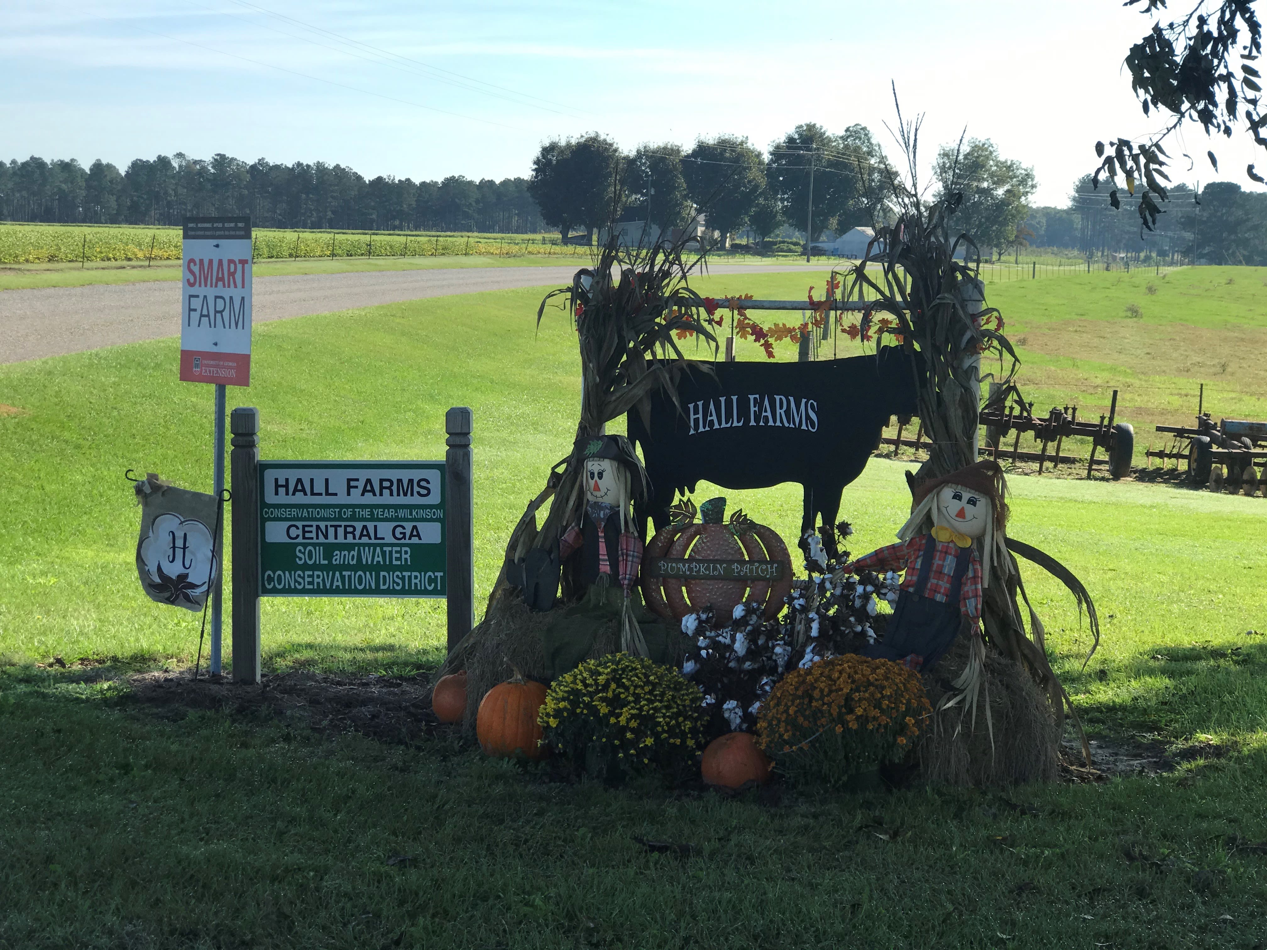 Various markers for Hall Farms, Hall's fourth-generation farm