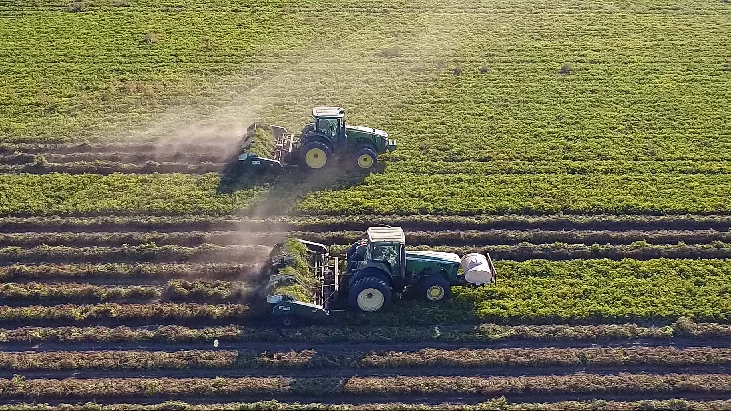 Two industrial tractors plowing a sunny field.
