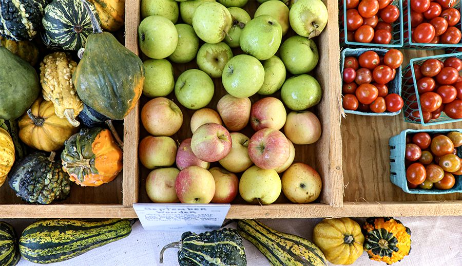 A colorful farmers market display features bins of apples, cherry tomatoes, and assorted decorative gourds arranged neatly on a table.