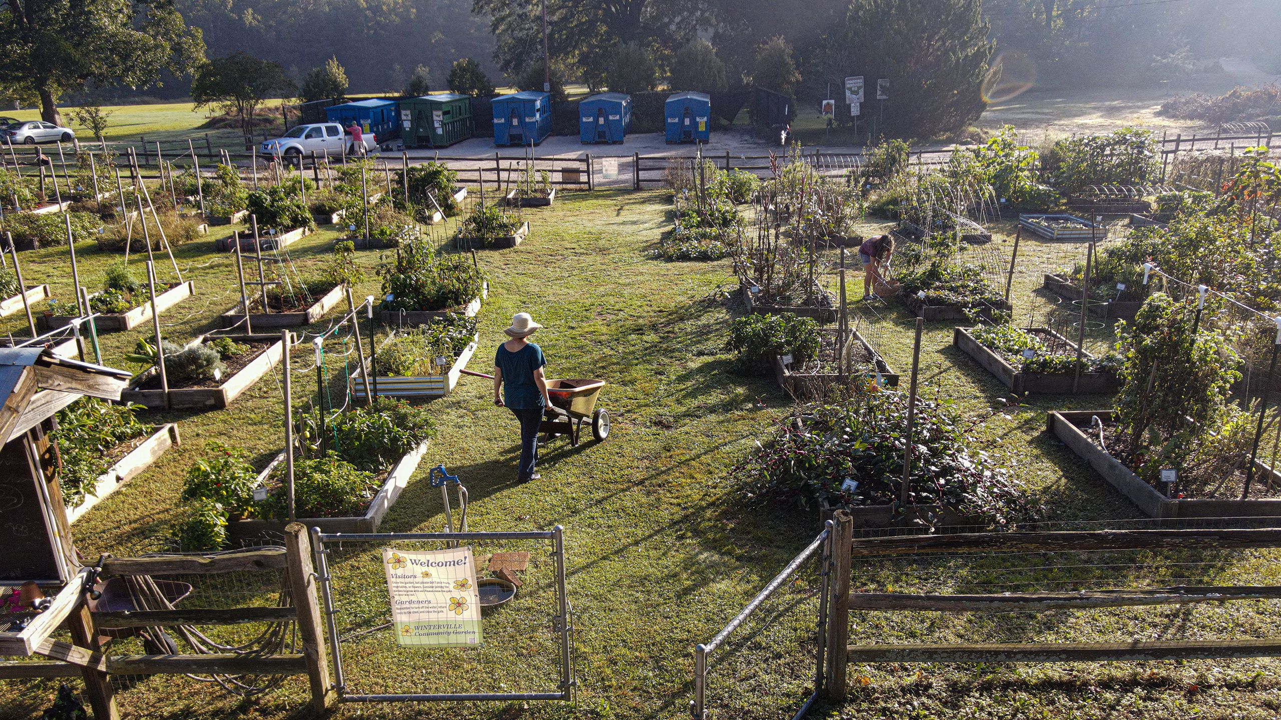A person wearing a sunhat tends to raised garden beds in a community garden during the early morning light.