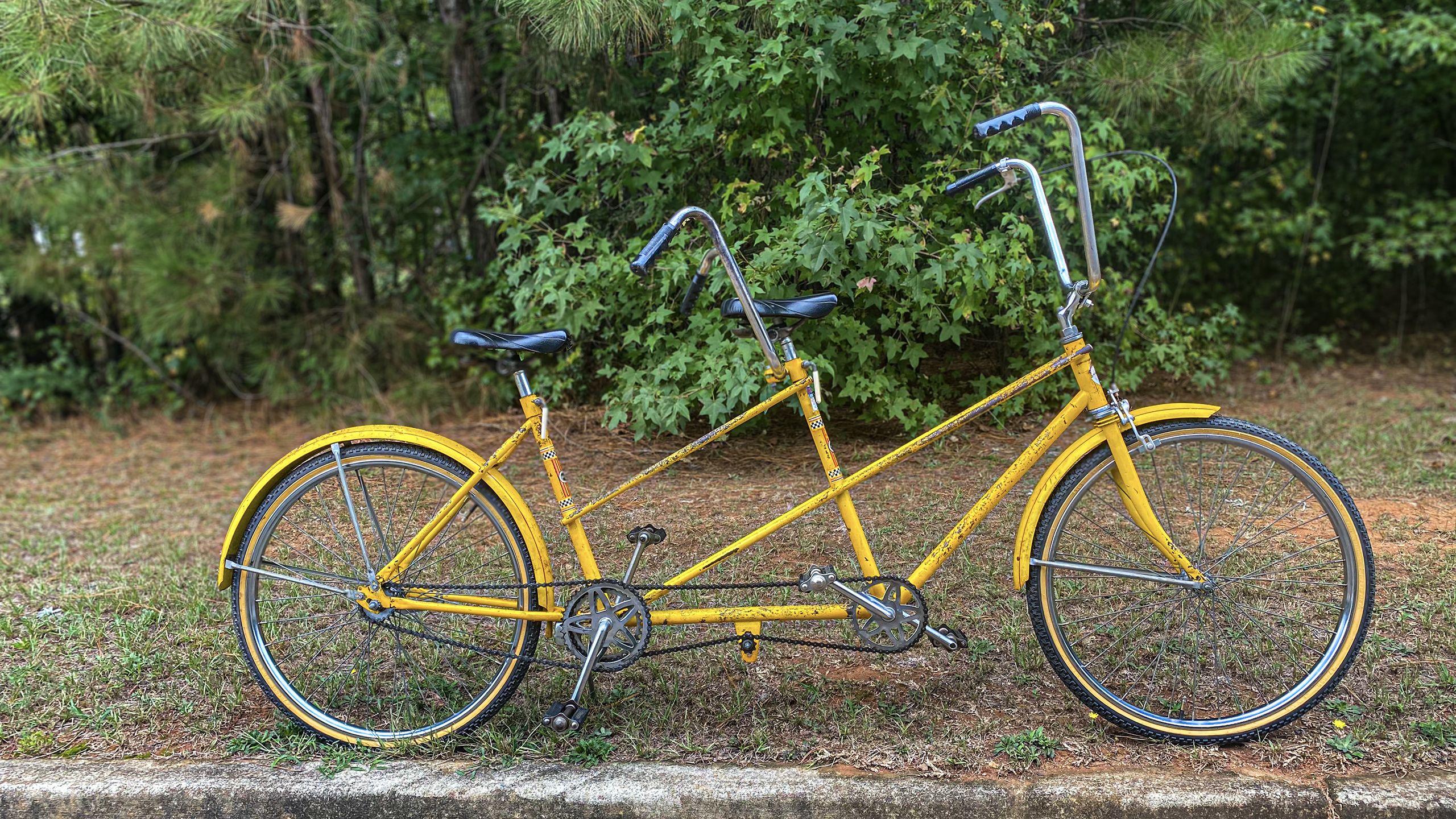 A bright yellow restored tandem bicycle with high handlebars is parked on a path in front of green foliage.