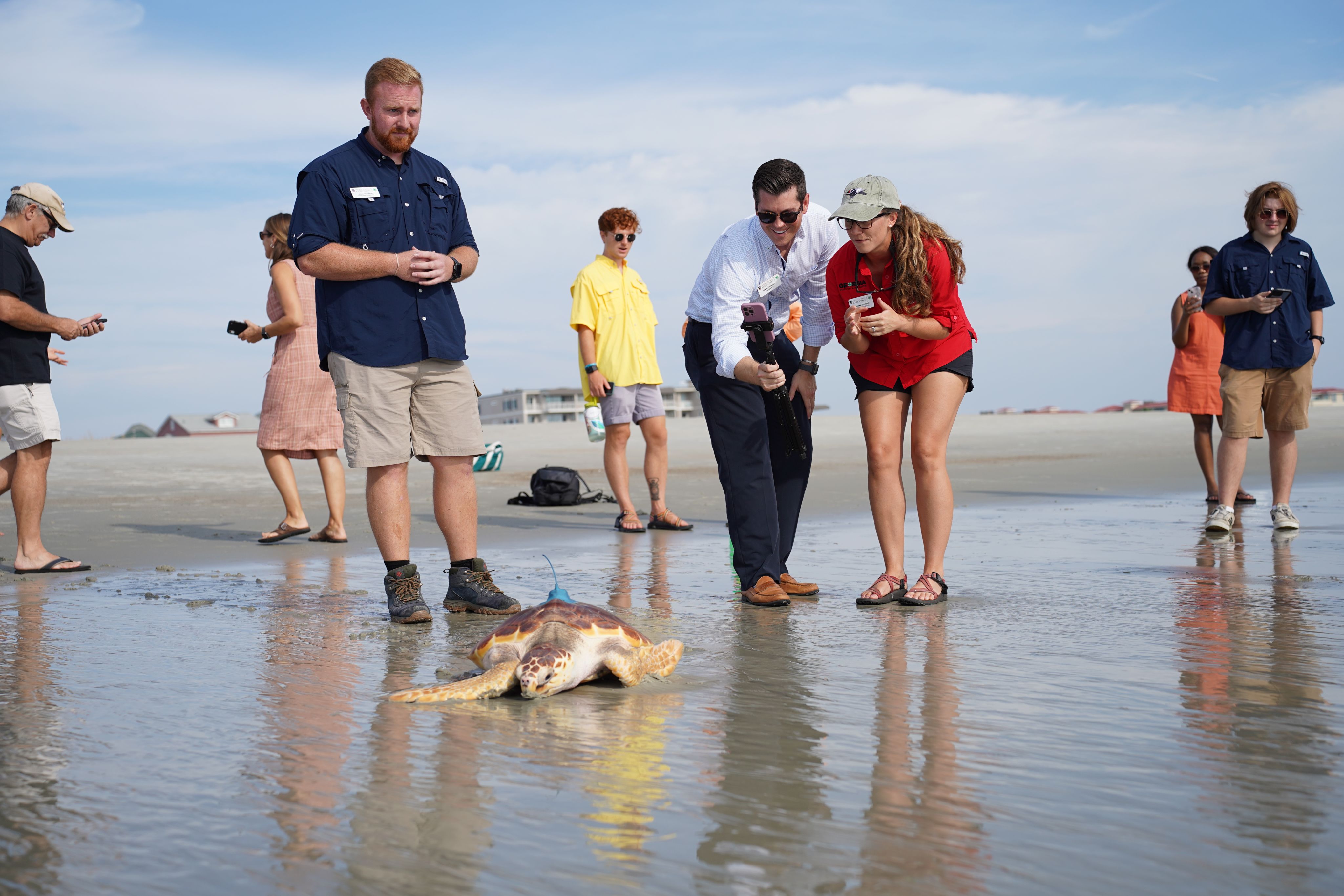 Gorgas helps to release a tagged sea turtle back to the ocean from a Tybee Island beach. Participants and spectators take photos and watch from the background.