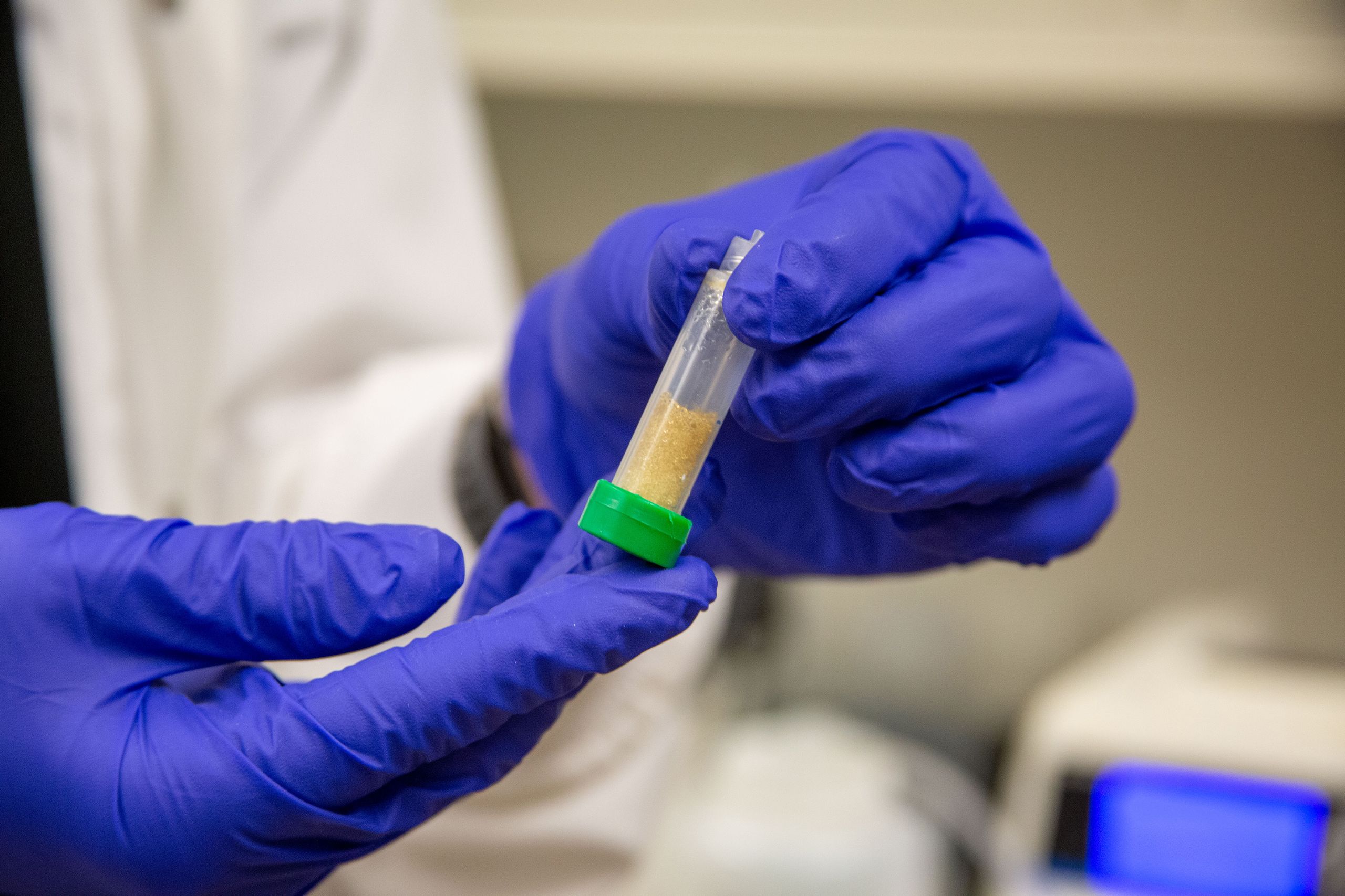 A person wearing blue gloves holds a tube containing a small quantity of yellow liquid, showcasing a laboratory setting.