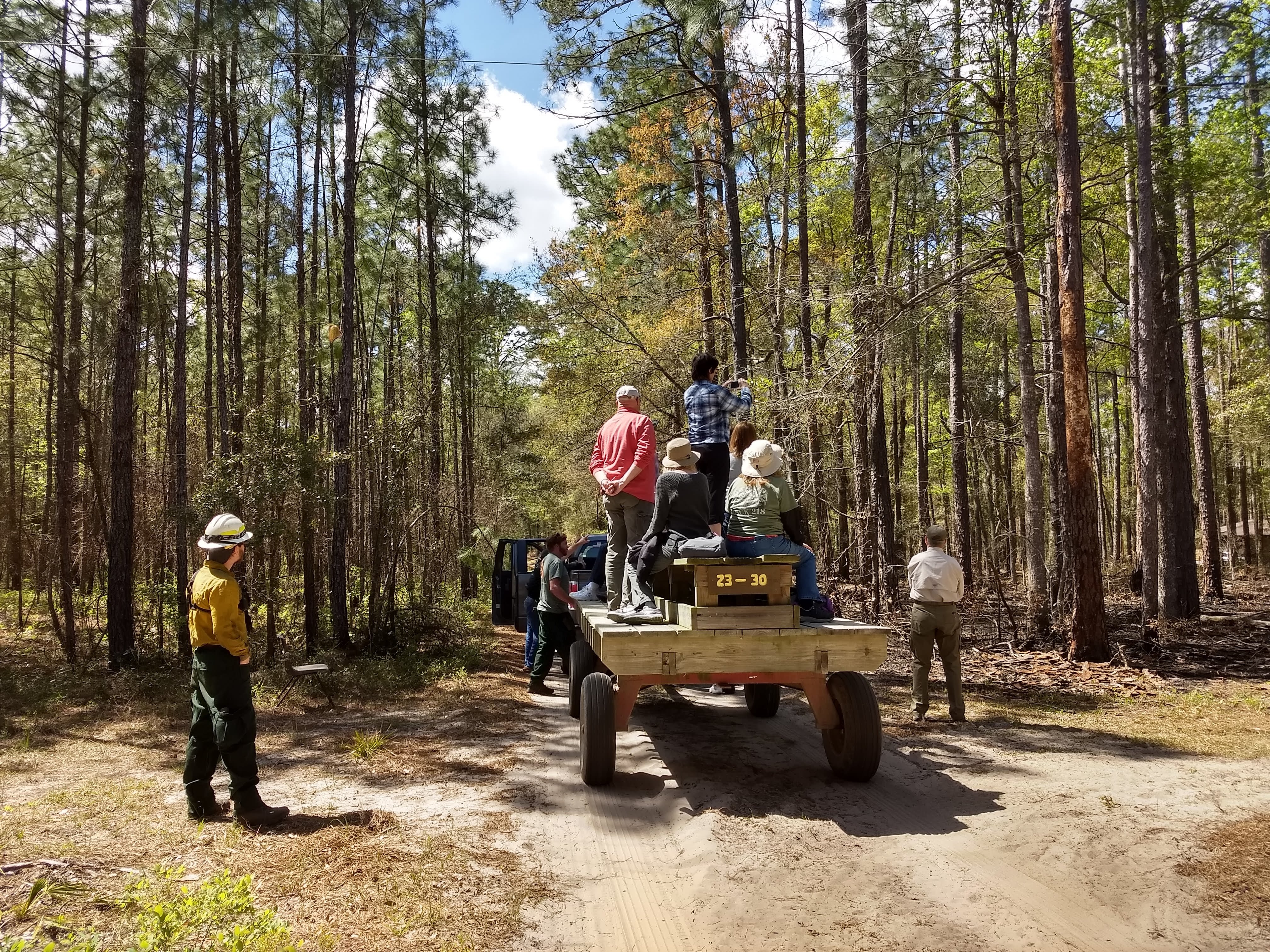 People ride on an open trailer through a forest looking at trees
