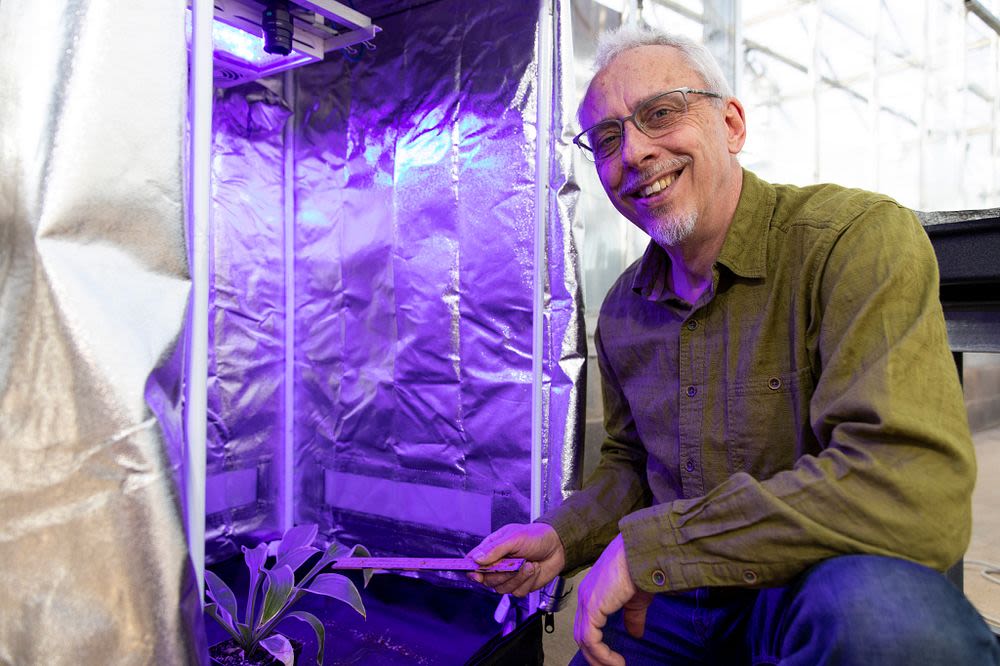 Environmental portrait of Professor Marc van Iersel 