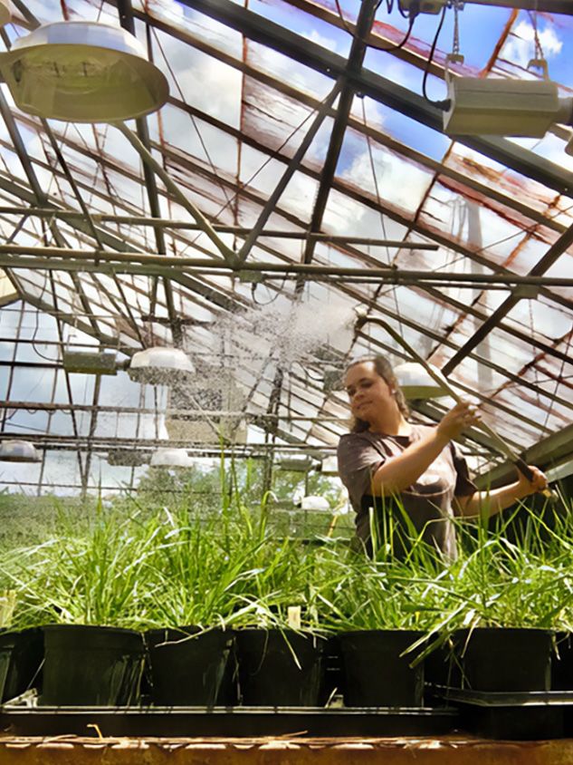 Lonnee holds a wand to water planters